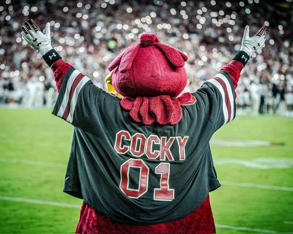 Rear view of the South Carolina mascot, Cocky, with arms raised toward a crowd of glowing stadium lights.