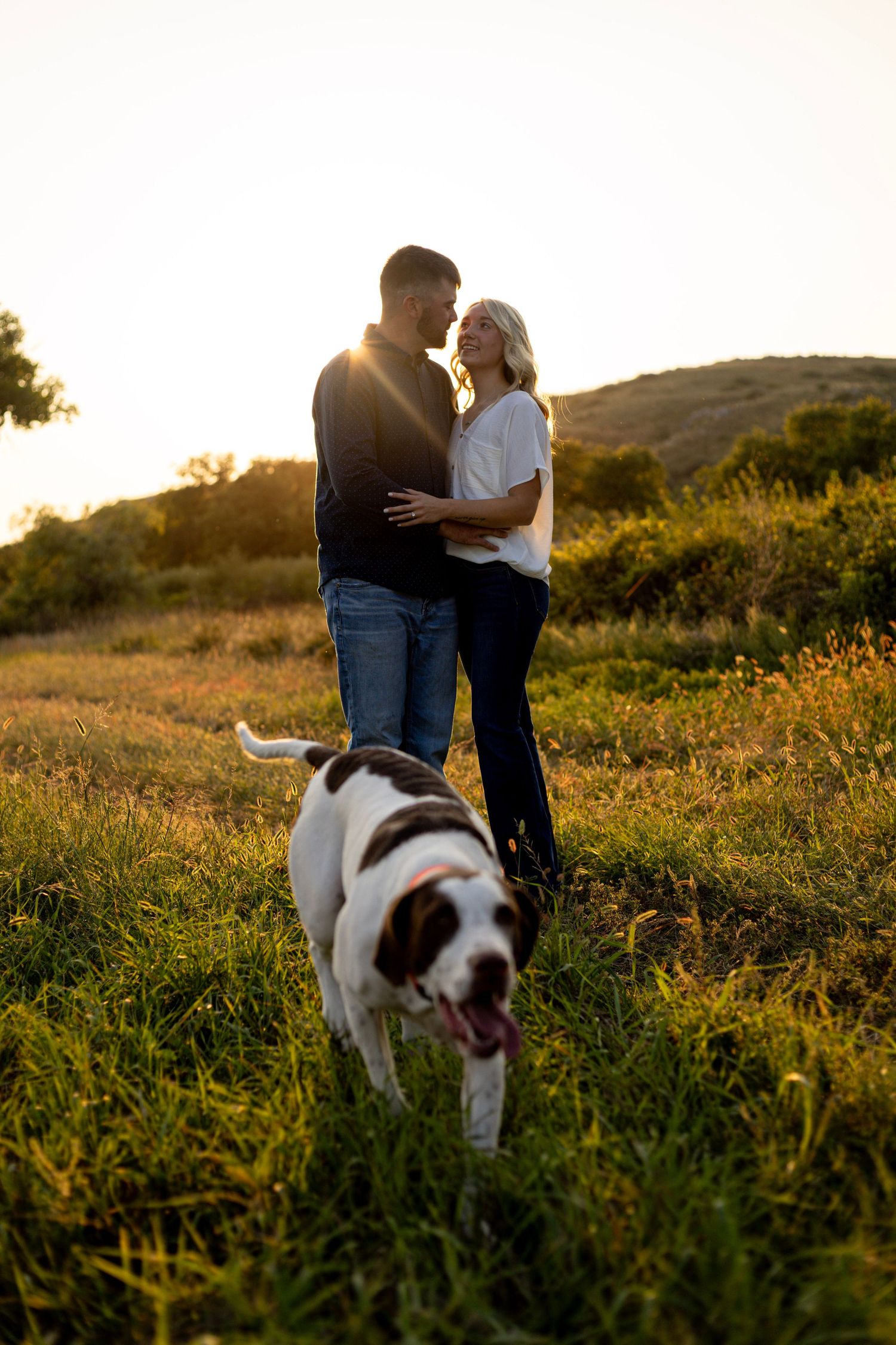 A happy couple embraces in a golden meadow at sunset while their dog plays in the foreground.