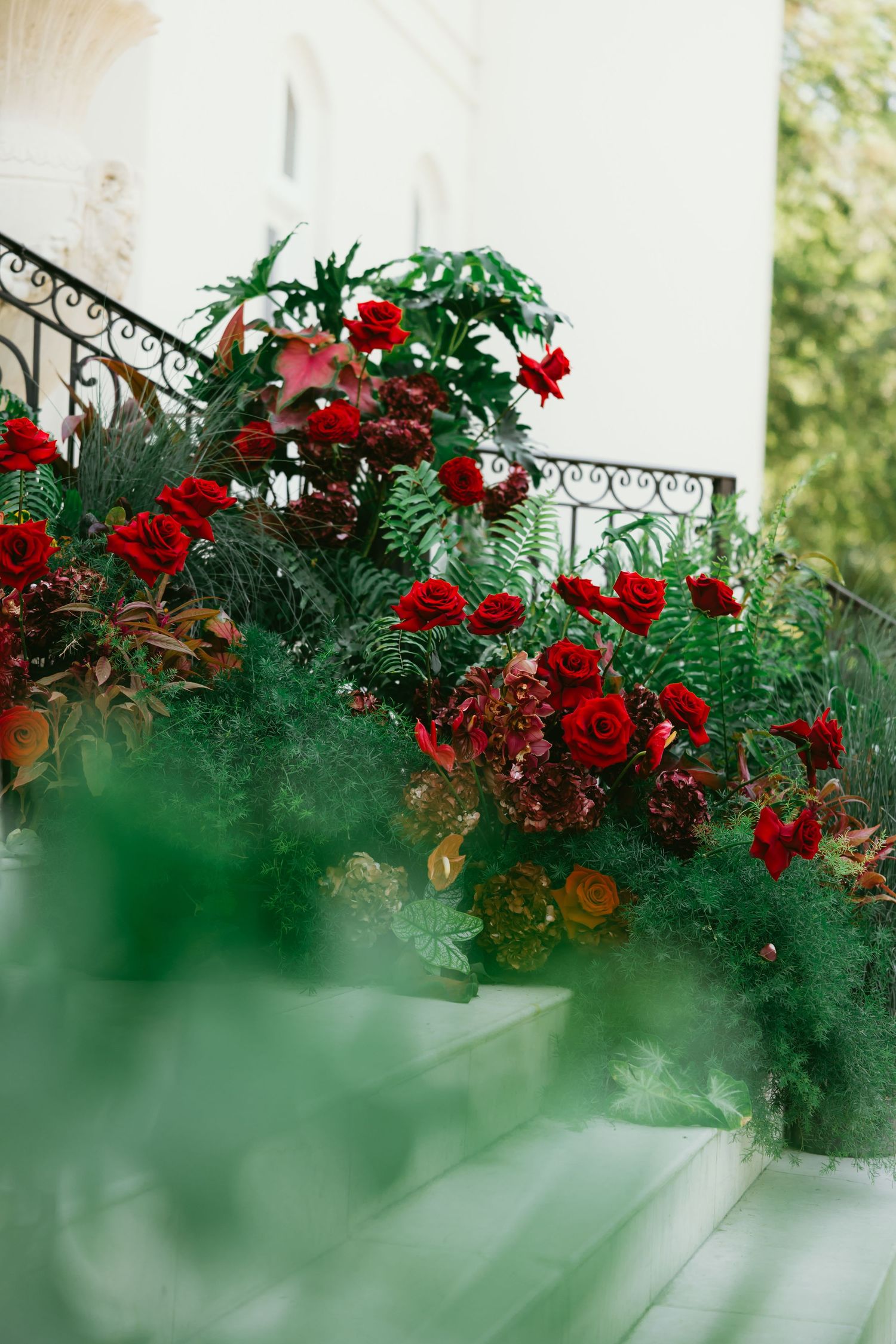 Lush red roses and ferns cascade down white outdoor steps beside ornate black iron railings.