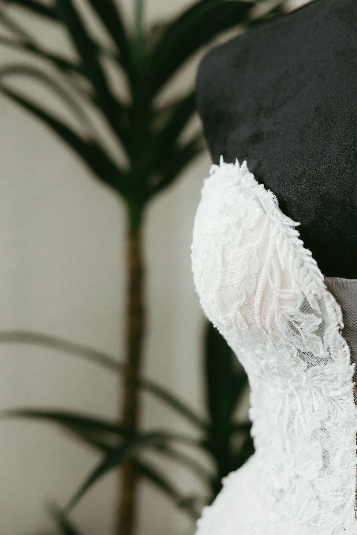 White lace wedding dress displayed on a black mannequin with a blurred tropical plant in the background.