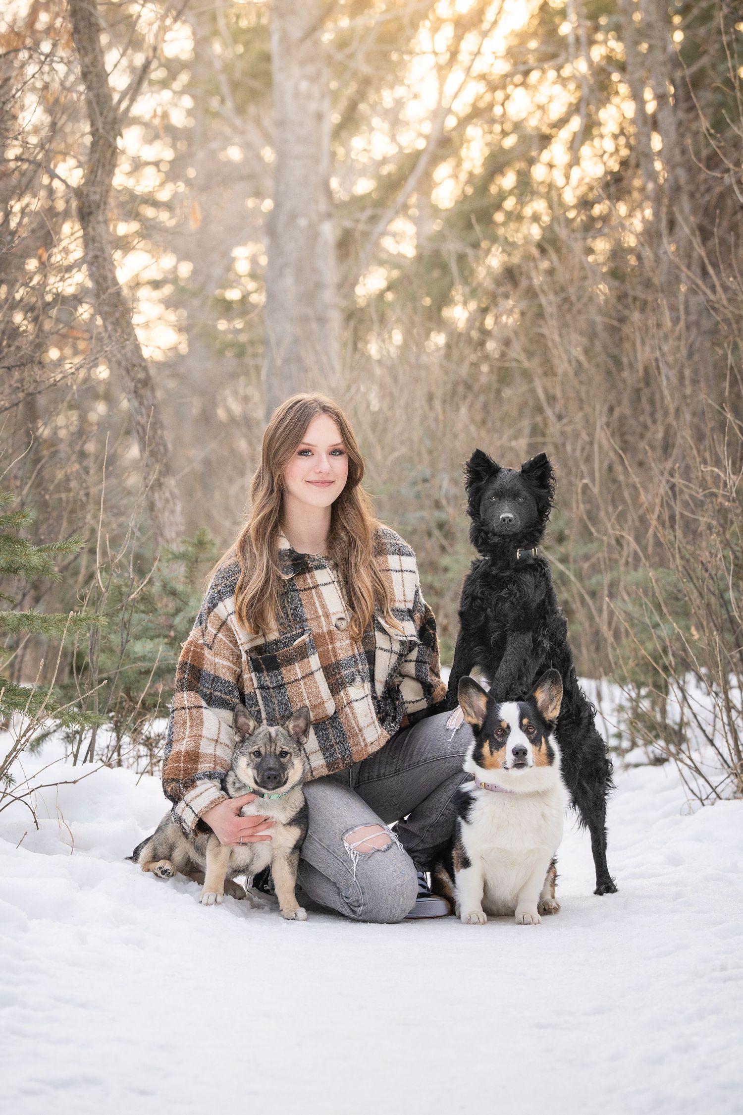 A person in a plaid jacket sits with three dogs in a snowy winter landscape at sunset.
