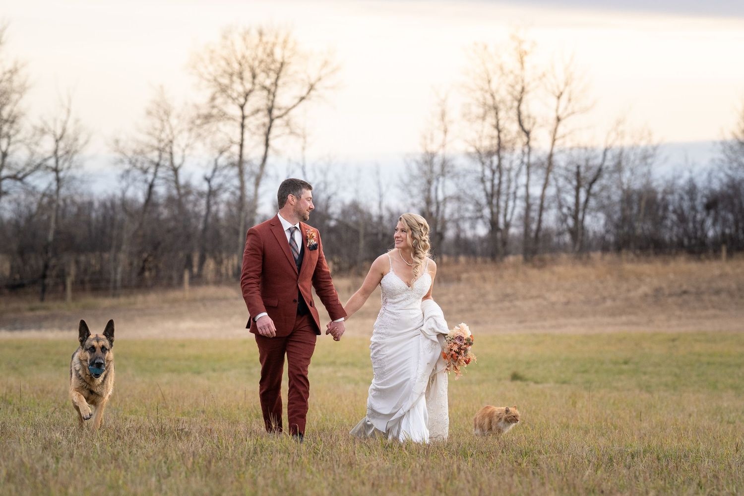 A couple in wedding attire walks through a golden field at sunset with their dog following behind them.