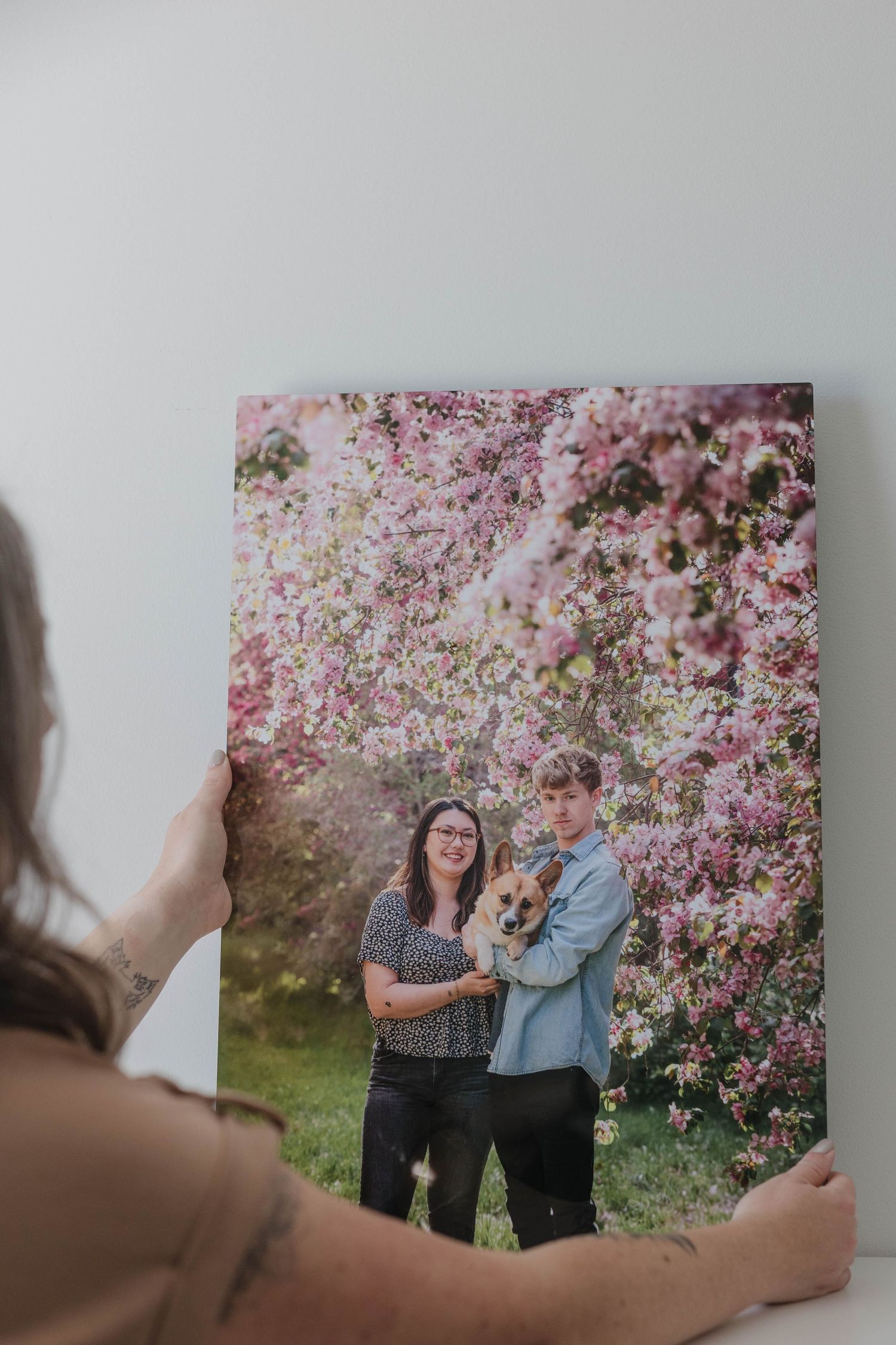 Someone holds a photograph showing a couple posing together under blooming pink cherry blossom trees in spring.