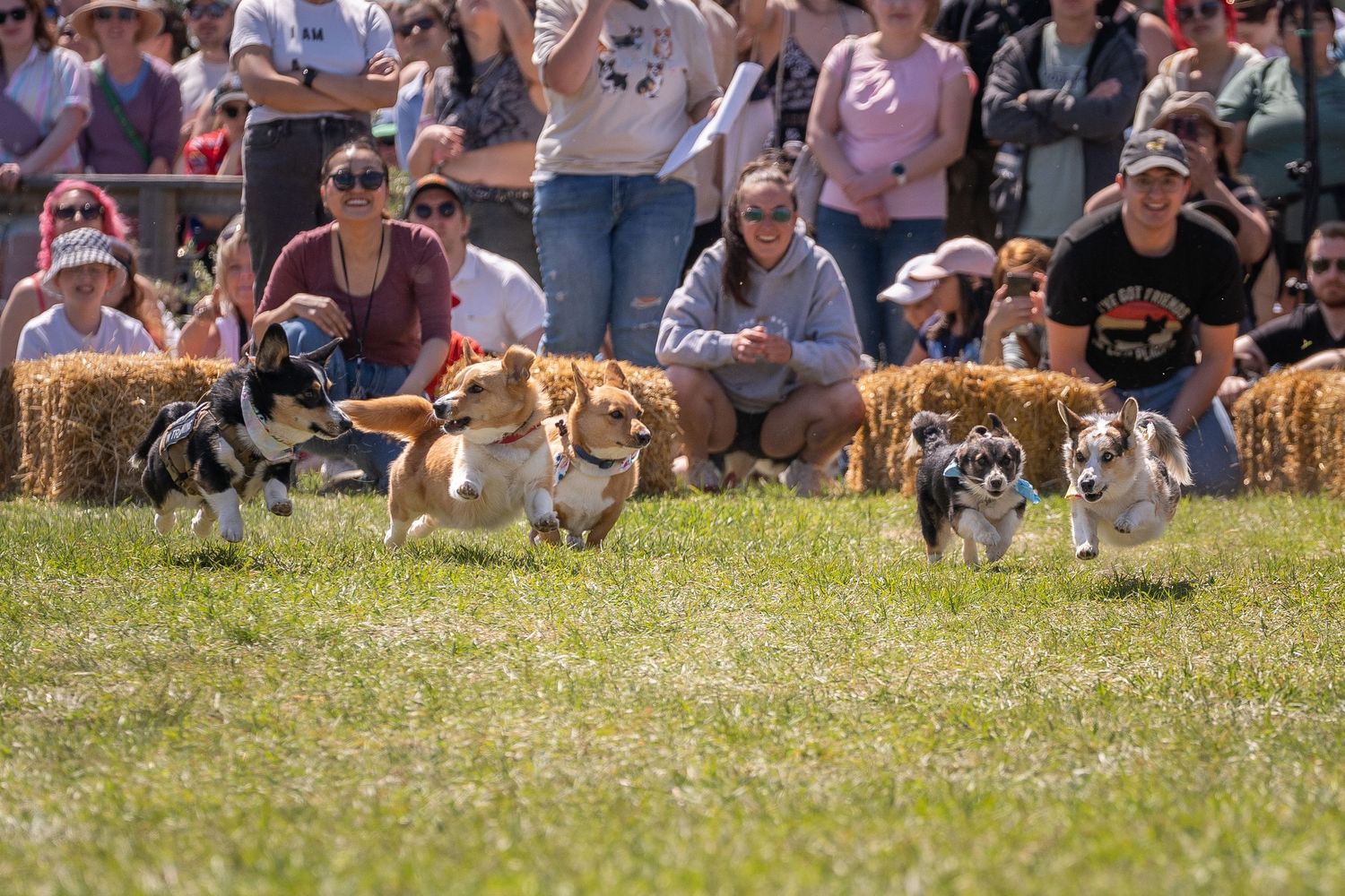 Competitors sprint across a grassy field during an intense outdoor sporting event as spectators watch from the sidelines.