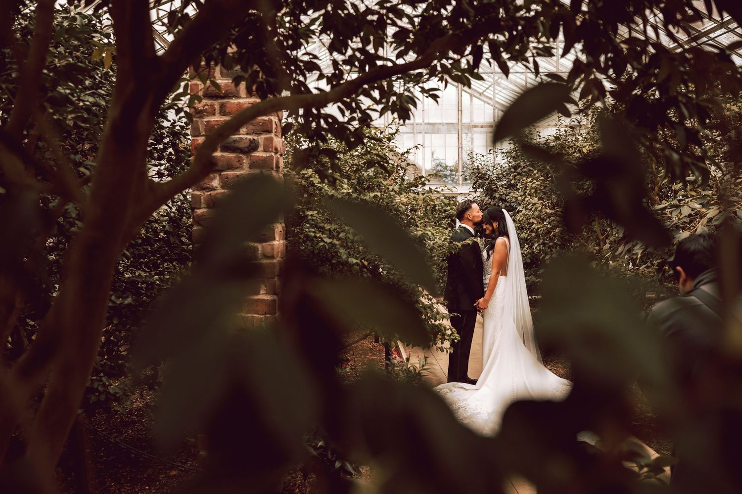 Bride and groom share a romantic kiss surrounded by lush greenery in the green house at the Plantingfield Arboretum