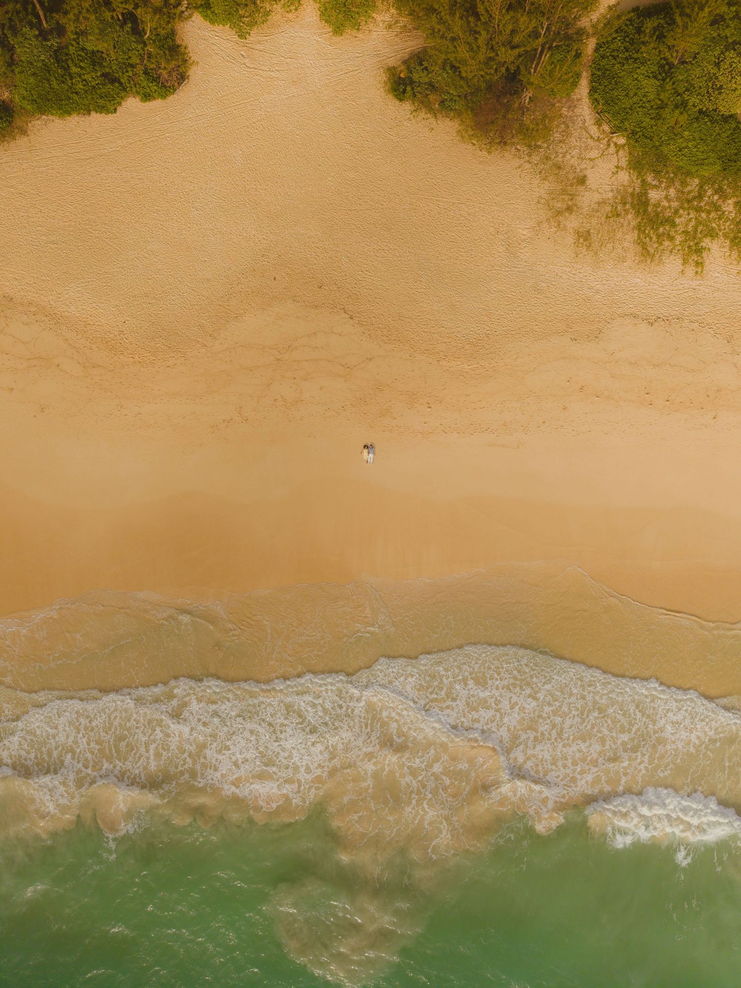 Aerial drone view of a golden sandy beach with turquoise waves and a lone figure surrounded by lush green trees.