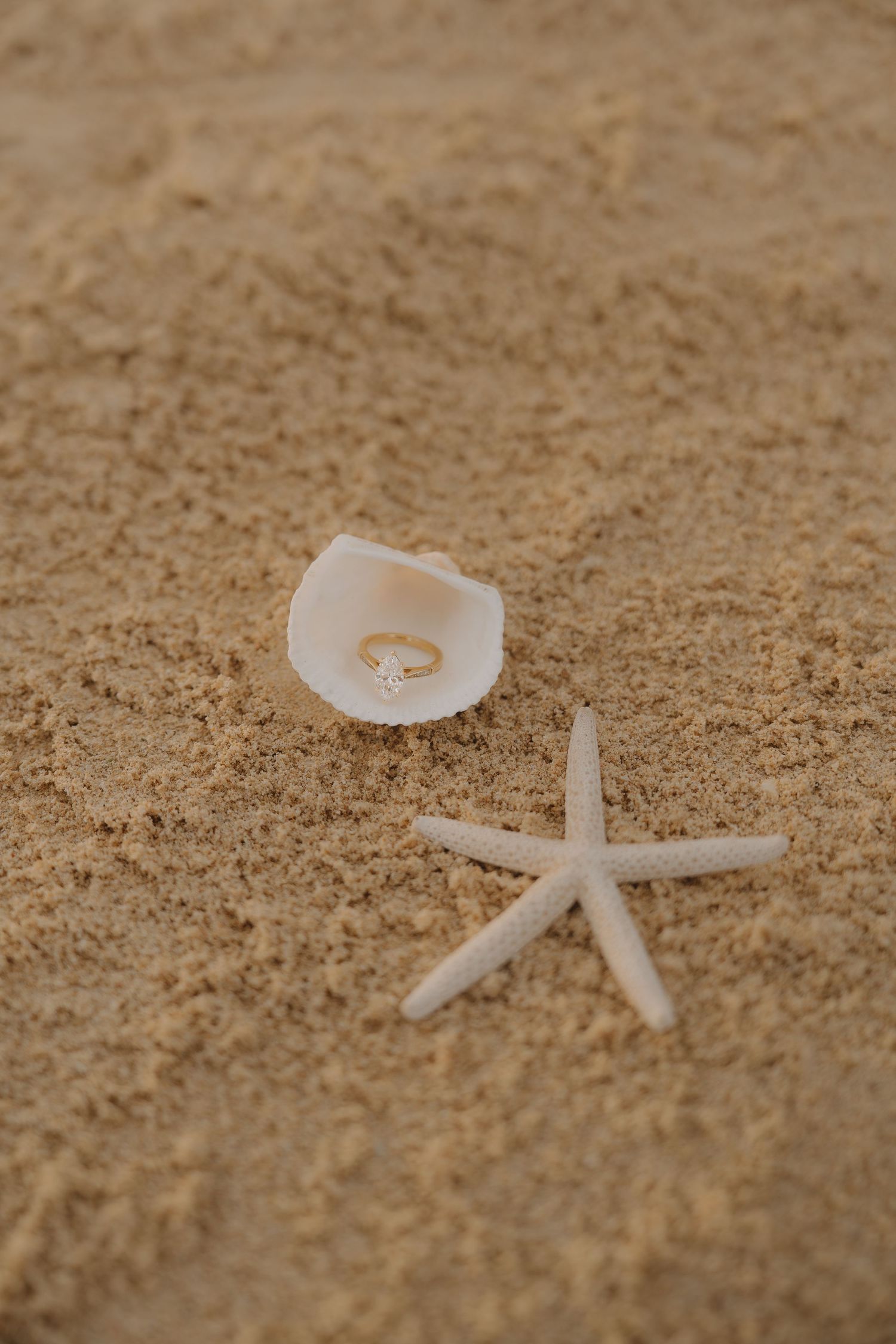 Diamond engagement ring displayed in an open seashell beside a white starfish on sandy beach.