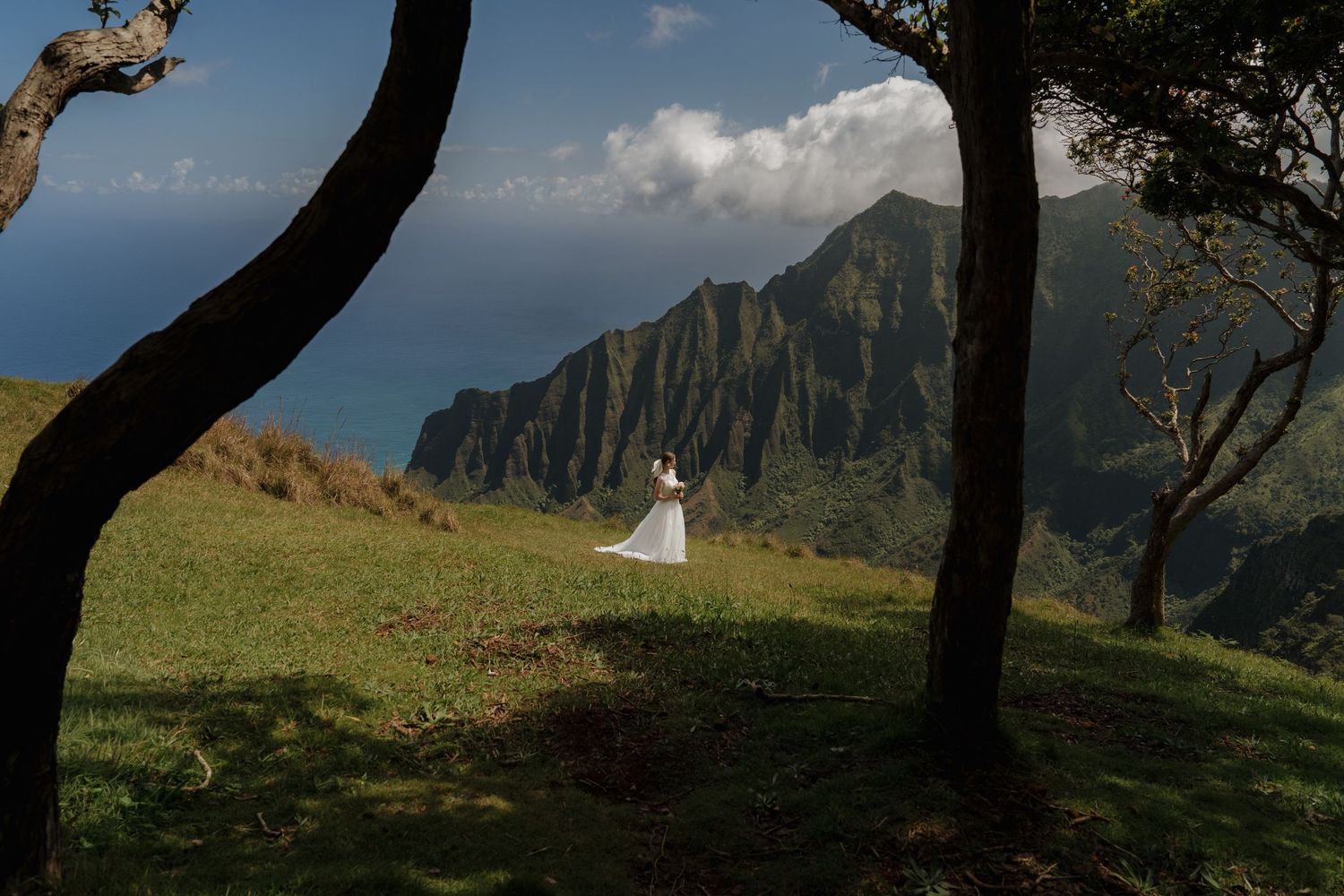 Bride in white dress stands between trees with dramatic Na Pali Coast cliffs and ocean in background, Kauai Hawaii.