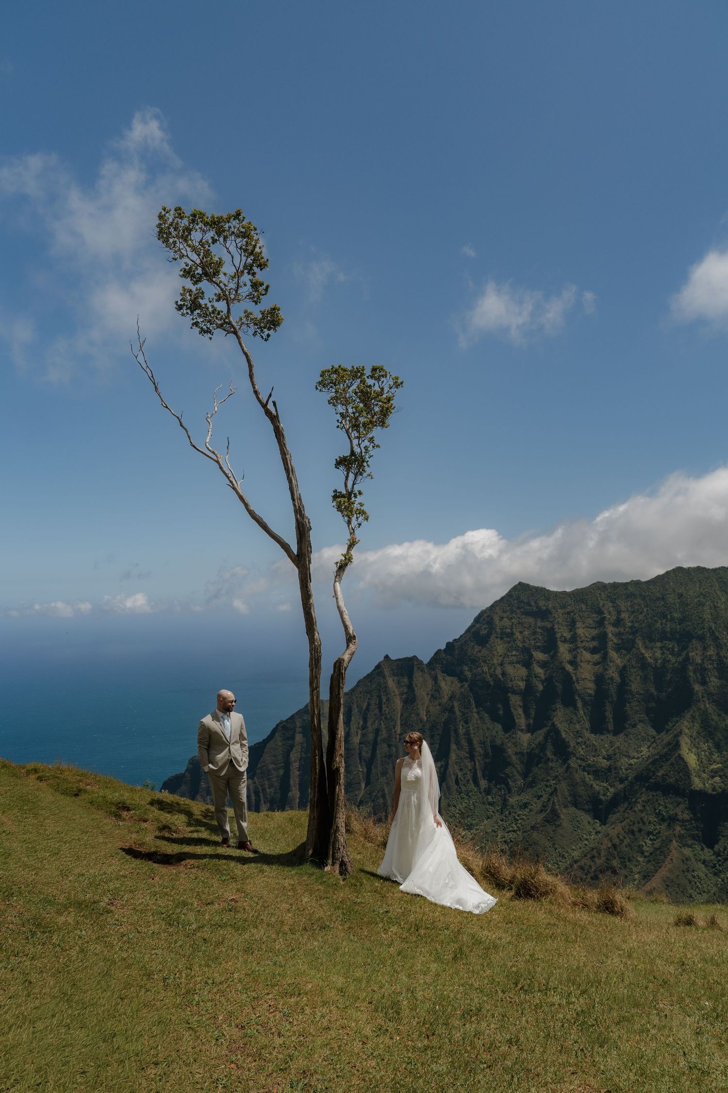 Bride and groom stand by a lone tree on a lush Hawaiian cliff with stunning Na Pali Coast mountain views.