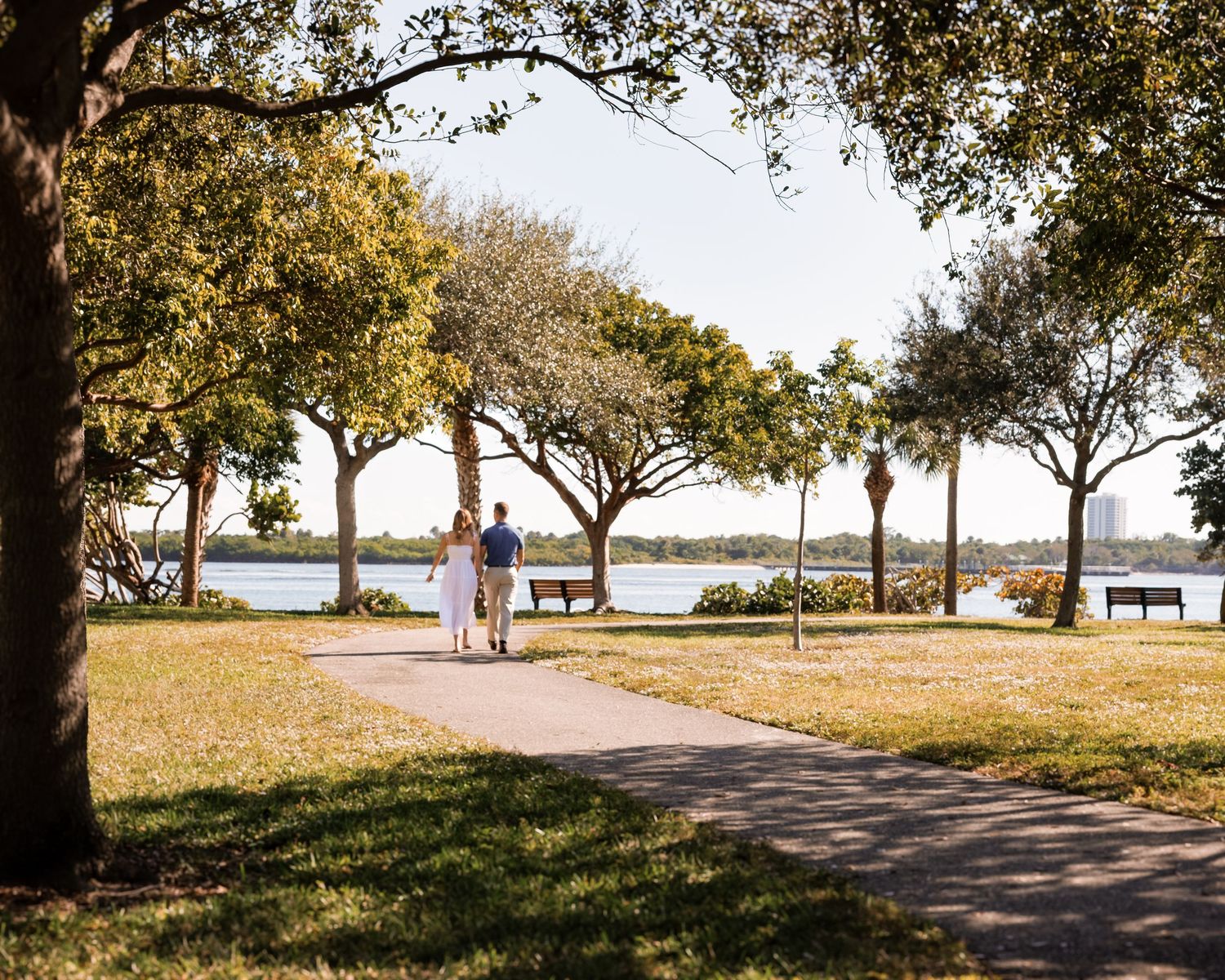 Panoramic view of a peaceful waterfront park with paved walking paths and shady trees along the shoreline.