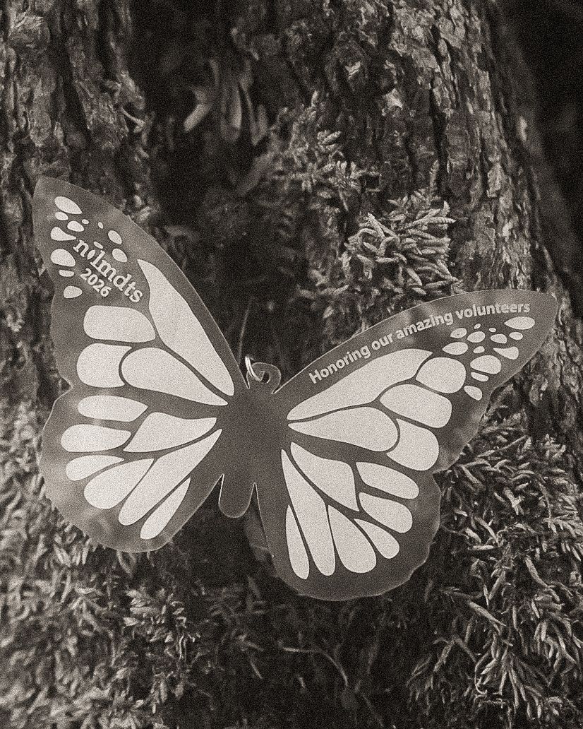 Butterfly-shaped ornament honoring amazing volunteers, displayed against a mossy tree trunk in black and white.