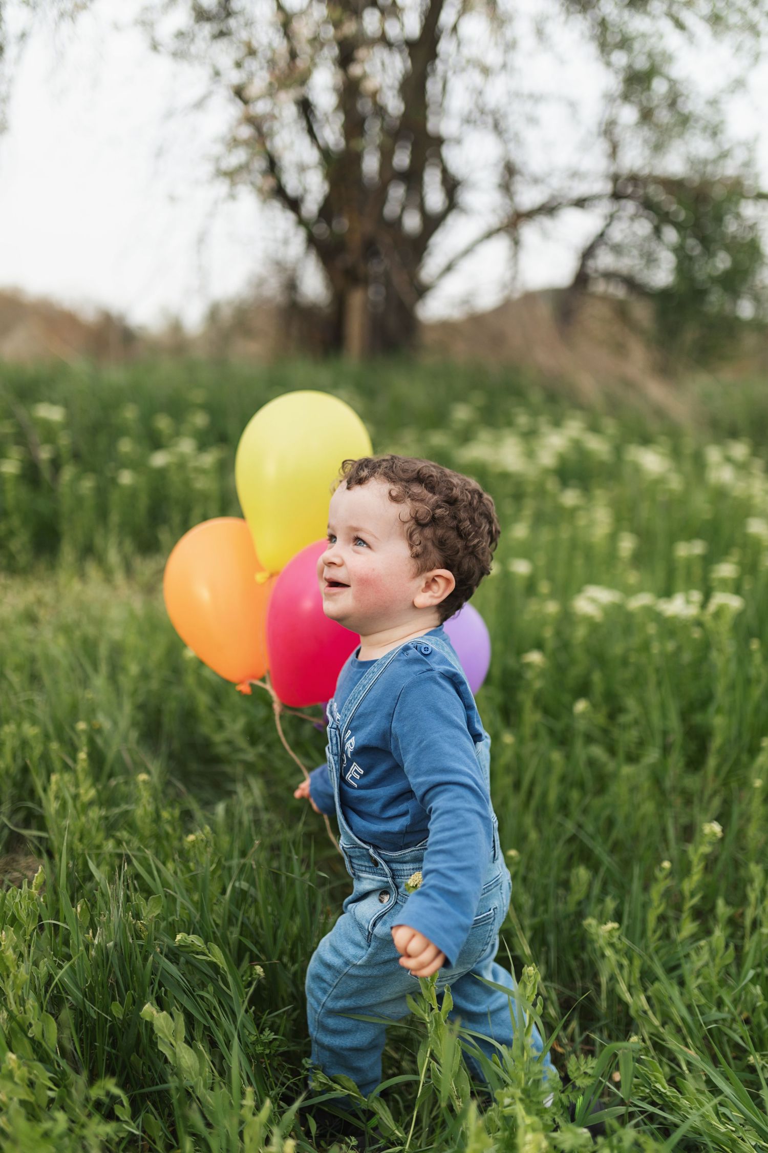 Séance photo famille, portrait enfants dans champs de fleurs. Enfant tenant ballons d'anniversaire Provence, Var, Vaucluse