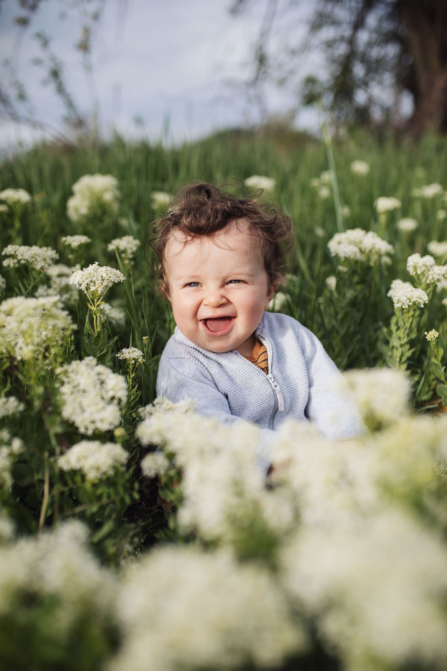 Séance photo famille, portrait enfants dans champs de fleurs. Provence, Var, Vaucluse