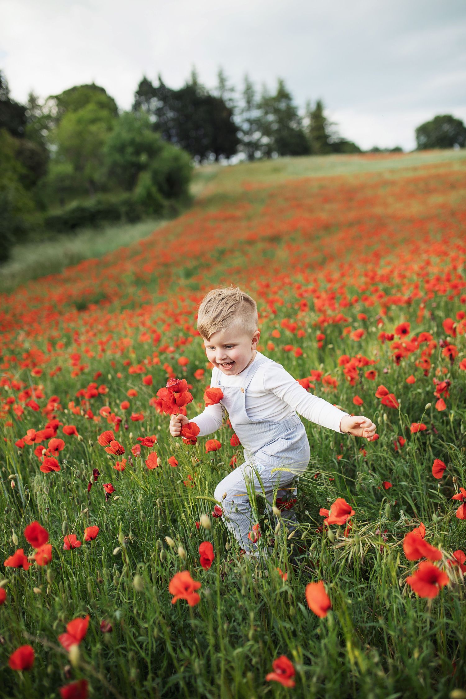 Séance photo famille, portrait dans un champs de coquelicots. Provence, Var, Vaucluse, manosque, oraison, forcalquier, lurs, valensole