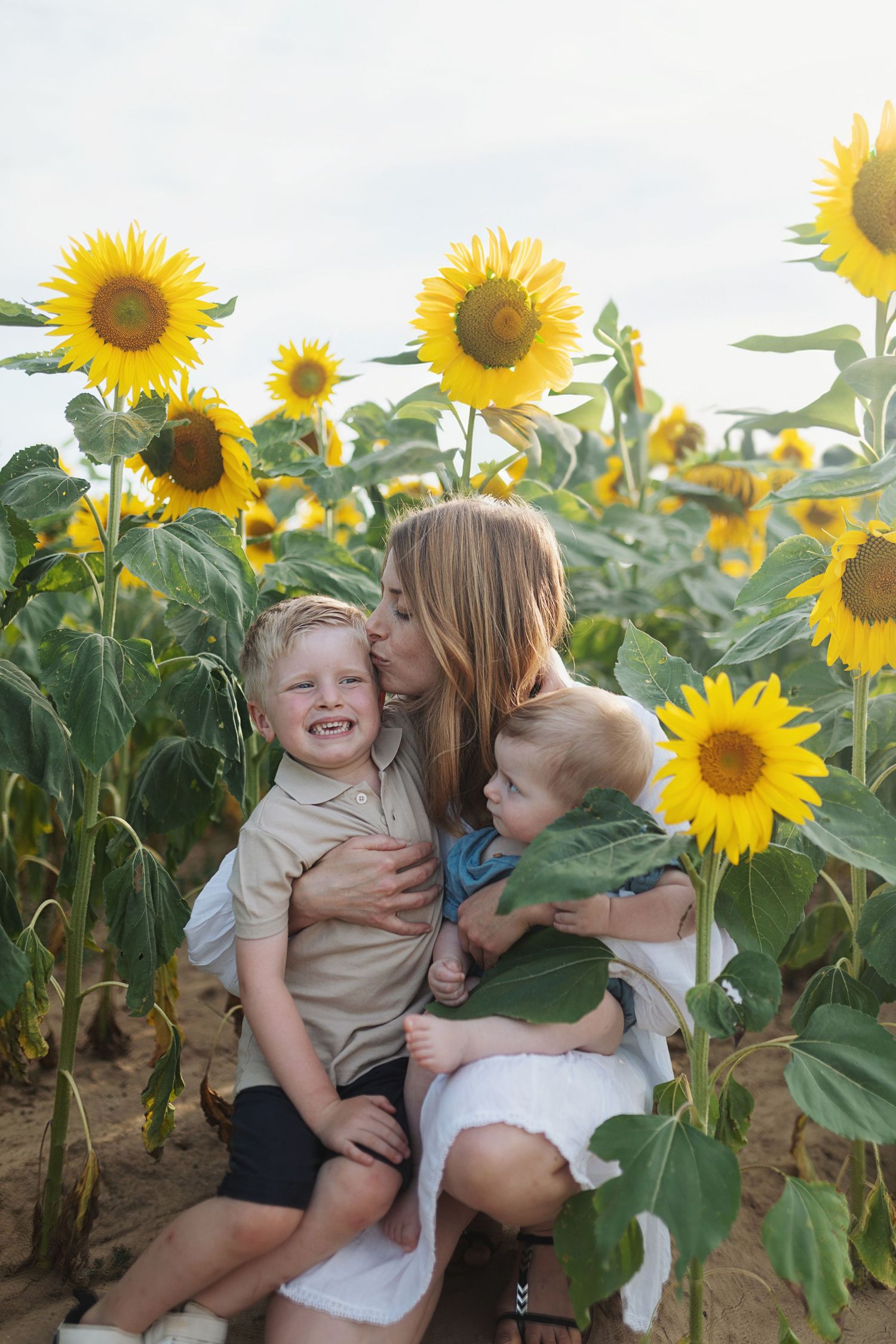 Séance photo famille dans un champs de tournesols en Provence Manosque, Oraison, Forcalquier, Sisteron, Château Arnoux.
