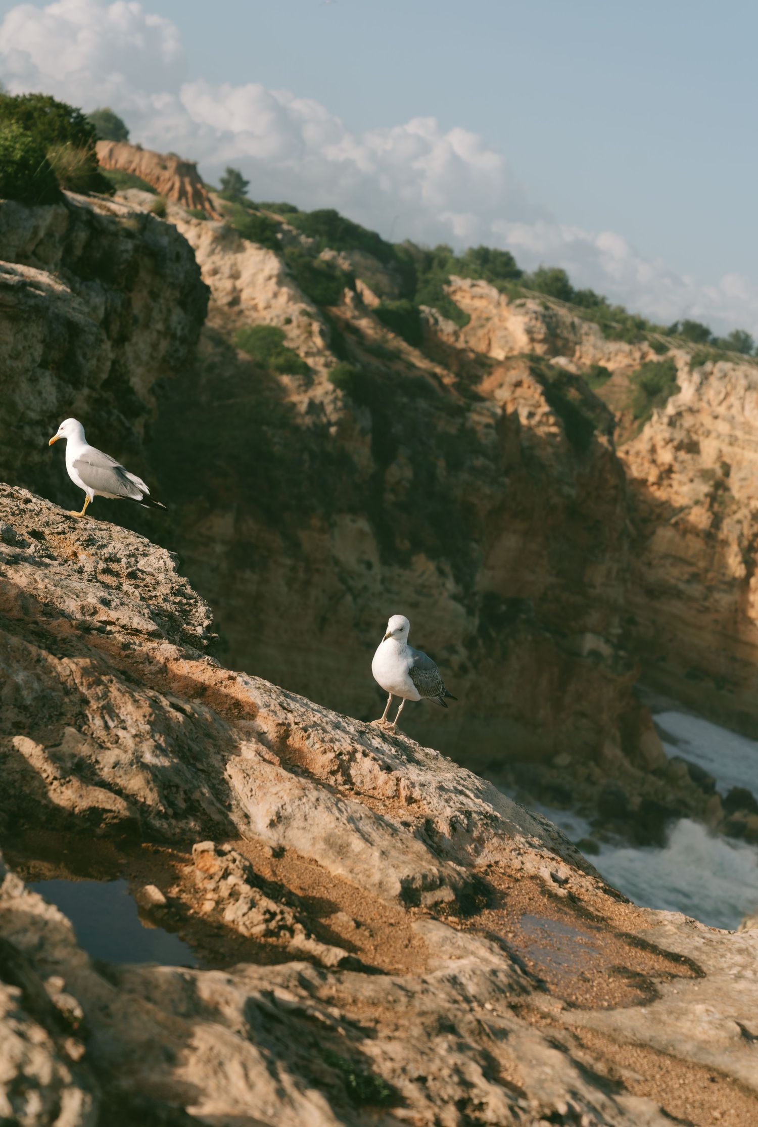 Two seagulls perched on rocky coastal cliffs overlooking the ocean under a partly cloudy sky.