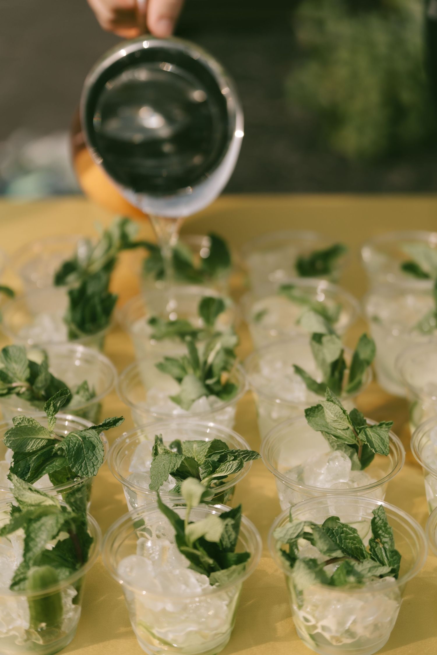 Close-up of cocktail glasses garnished with fresh mint leaves arranged on a serving tray.