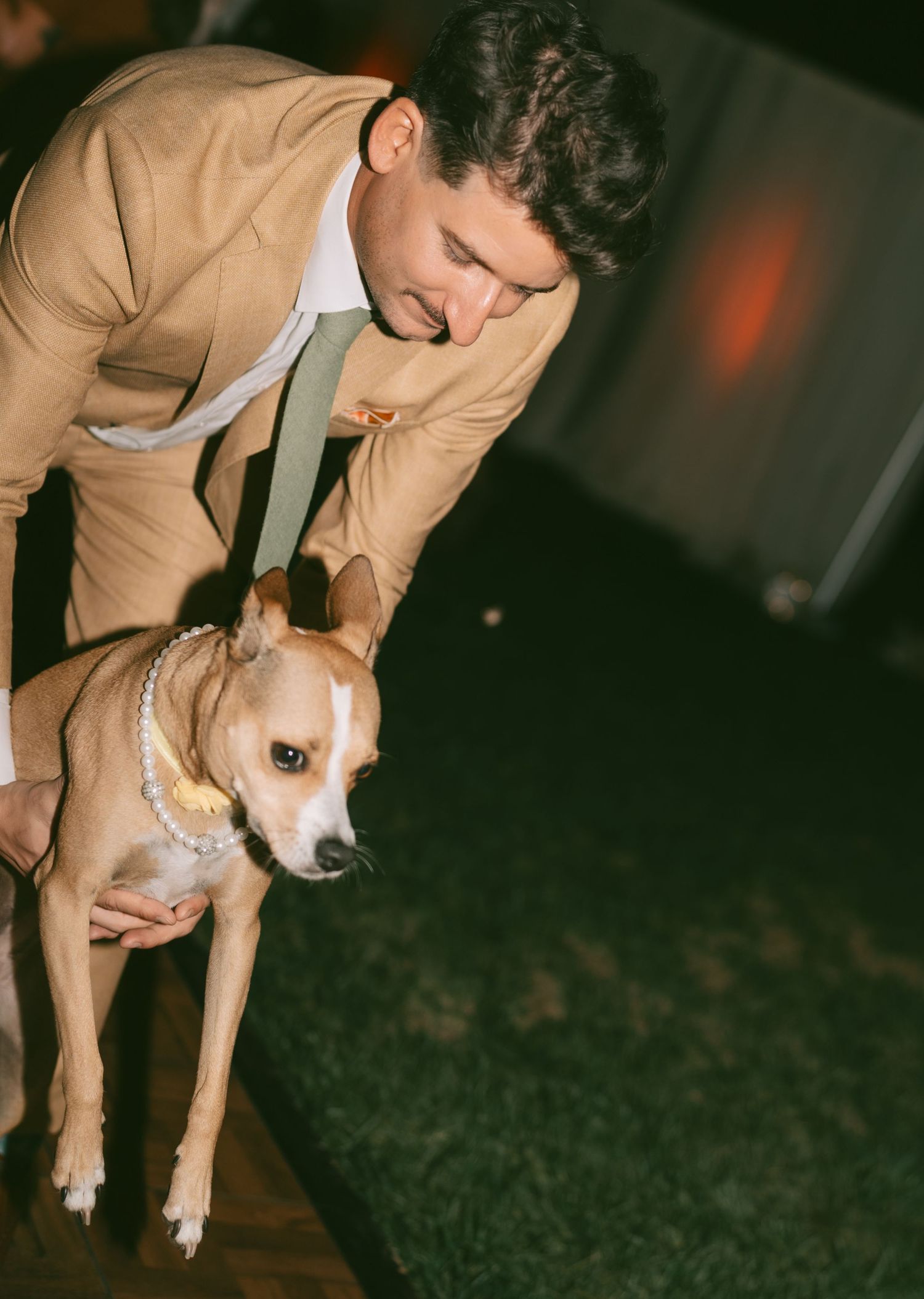 Person in tan suit bends down to pet a friendly corgi dog at wedding reception.