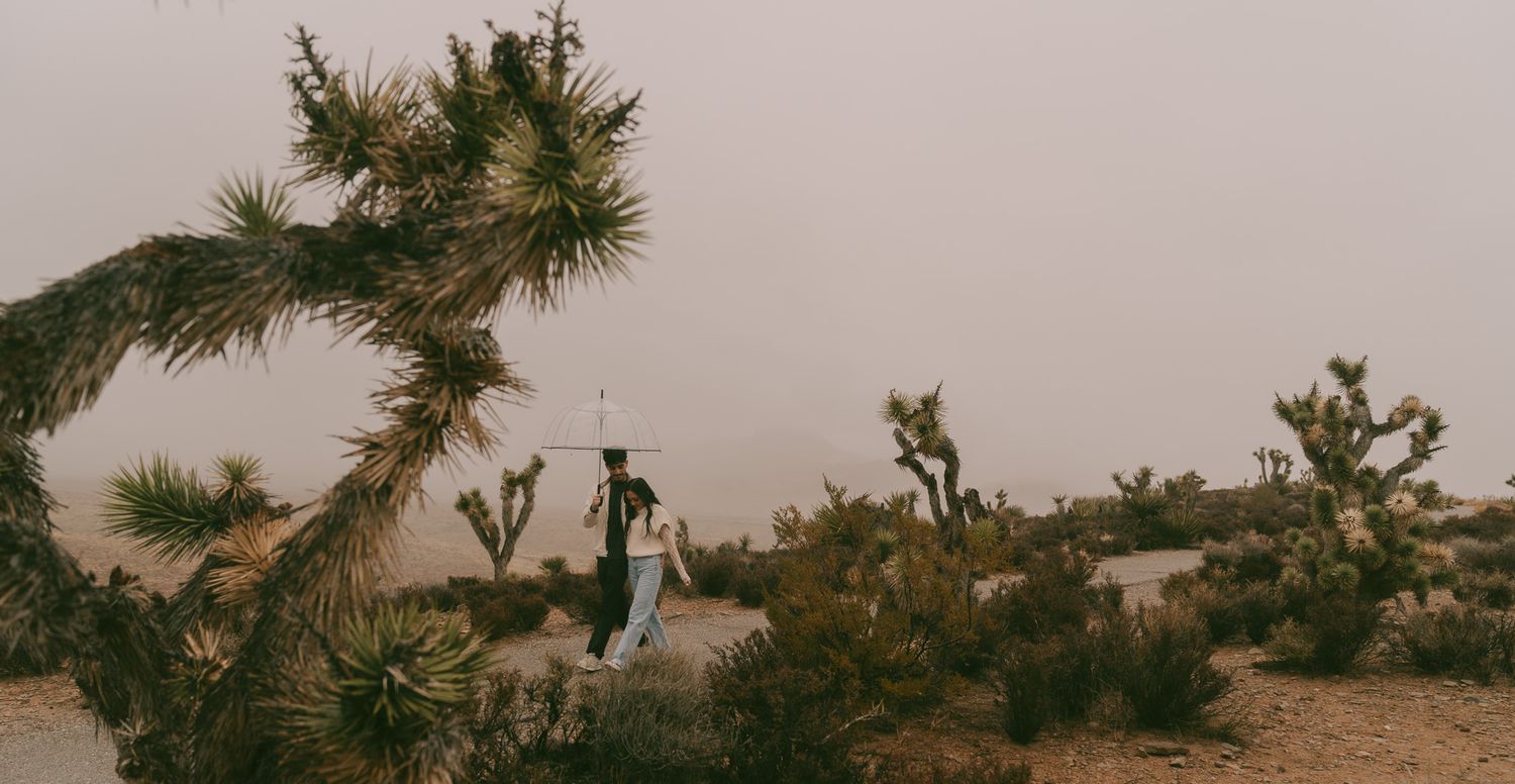 Desert landscape with Joshua trees and distant figures against a moody sky.
