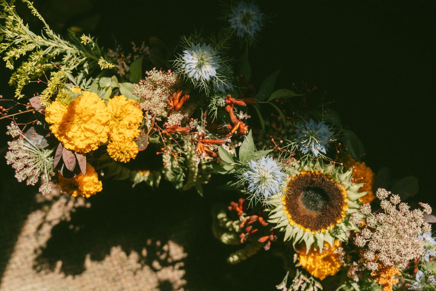 A close-up collage of vibrant flowers including sunflowers and white wildflowers against a dark background.