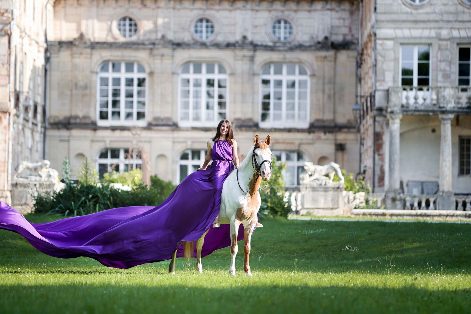 Horse And Castle 2025