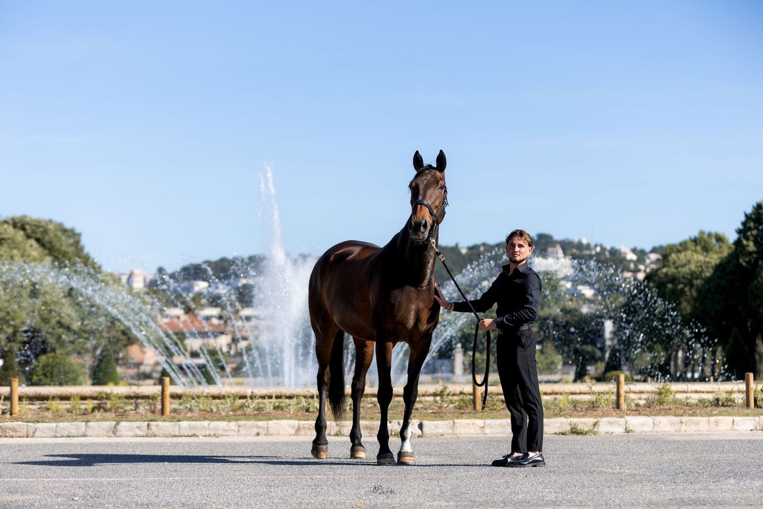 Horse And Castle 2025