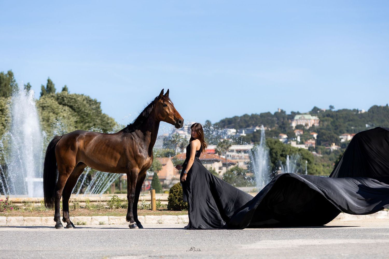 Horse And Castle 2025