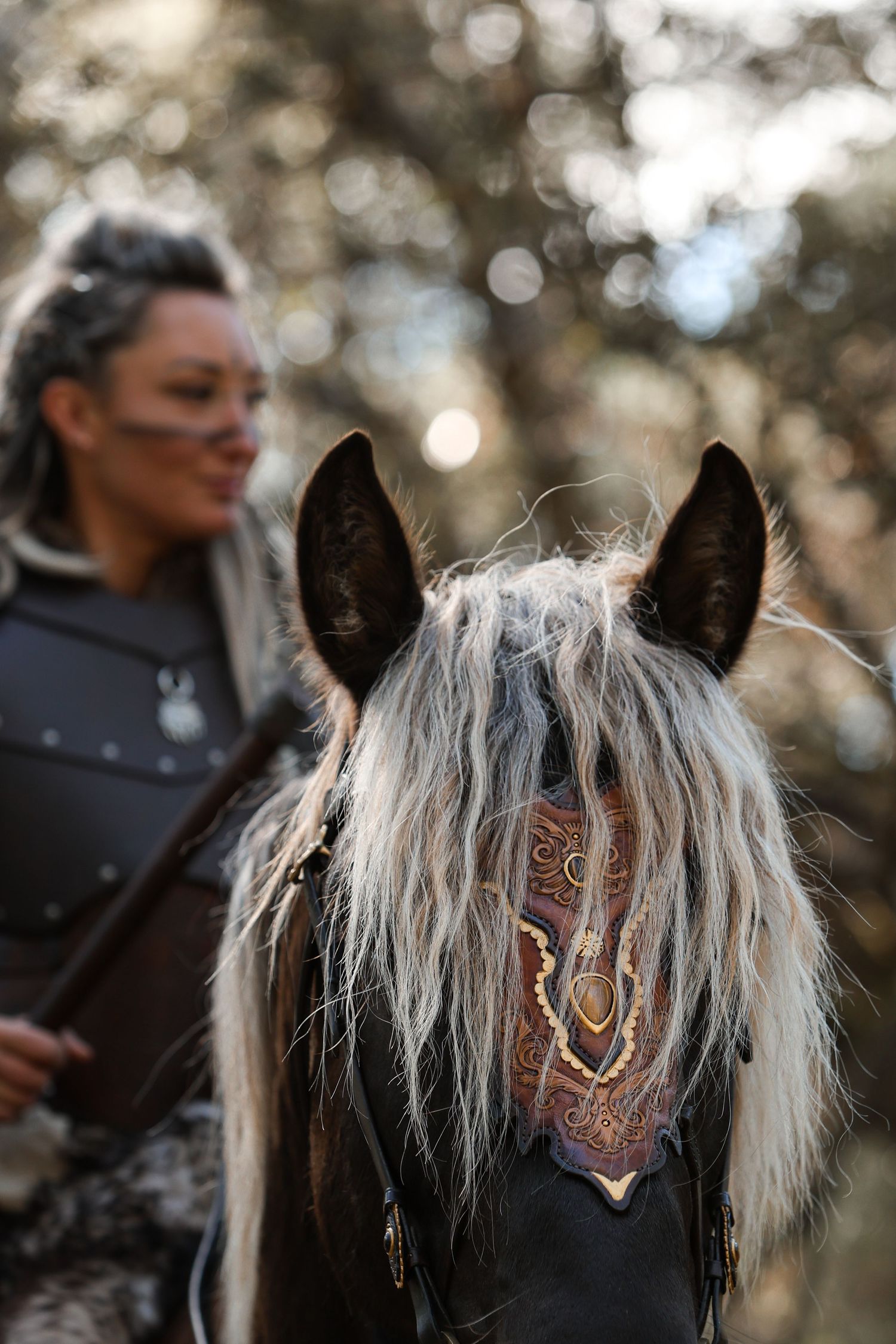 Equus Meet - Avignon 2025