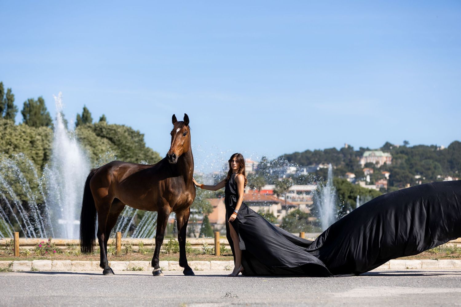 Horse And Castle 2025