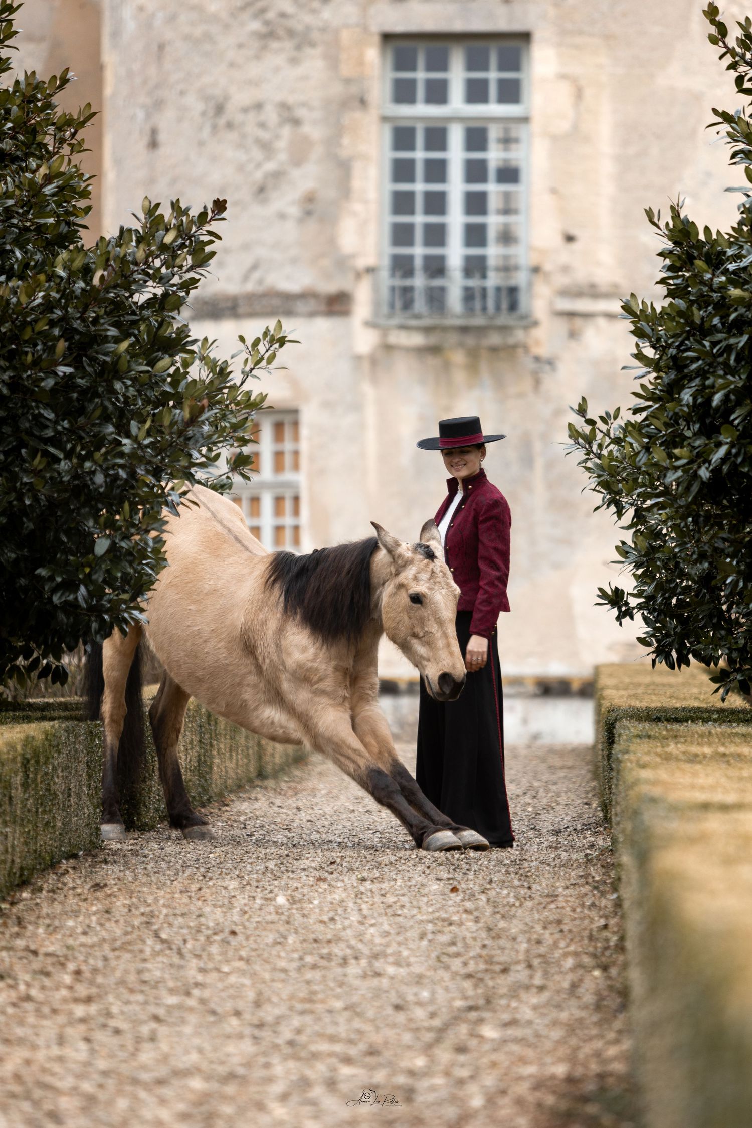 Equus Meet - Côte d'Or 2025