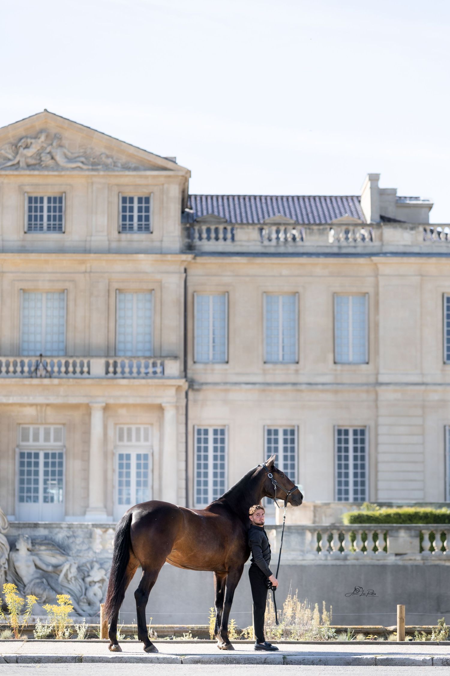 Horse And Castle 2025
