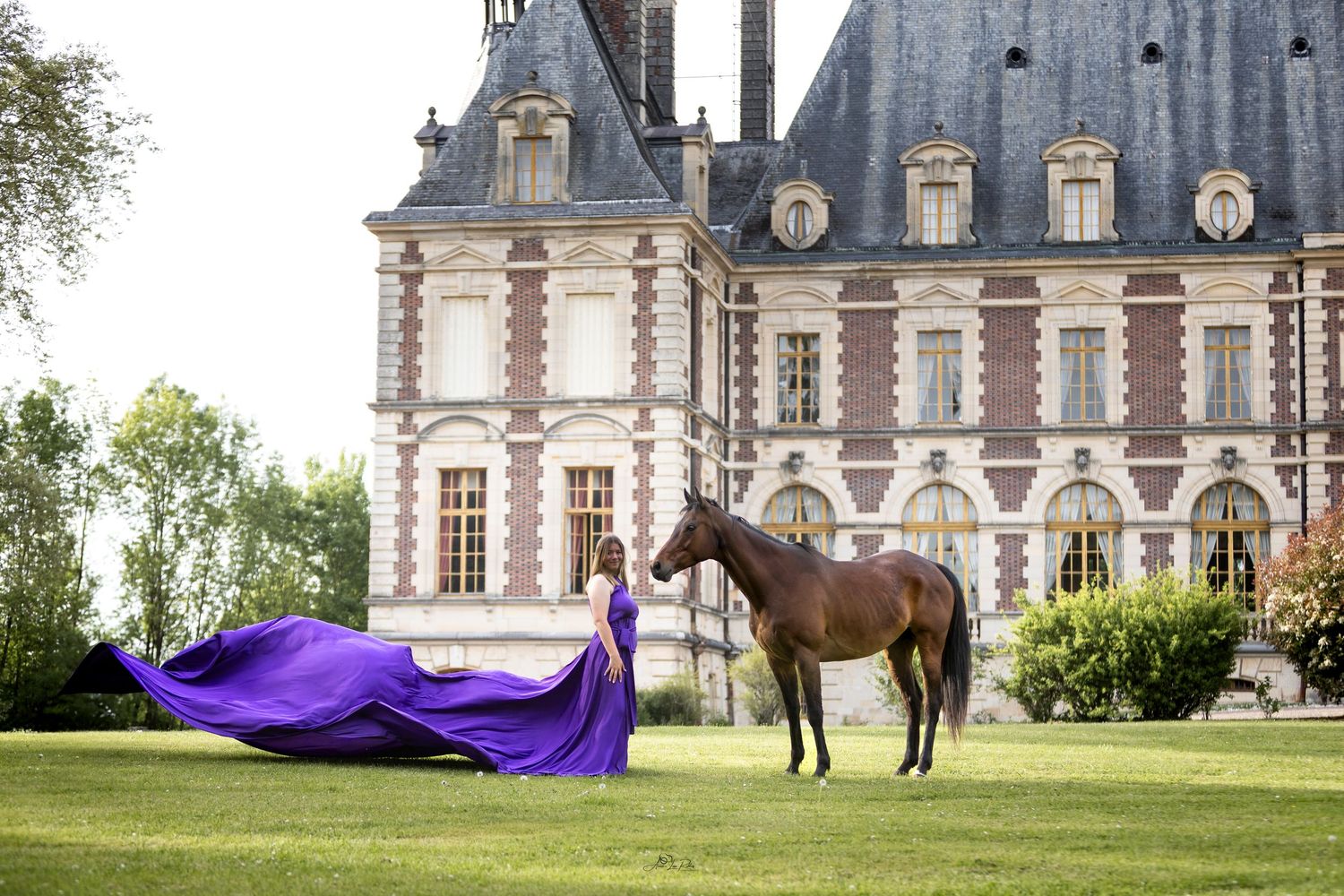Horse And Castle 2025