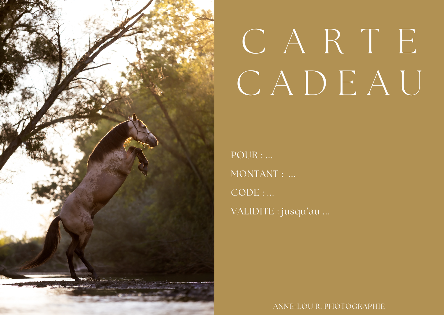 Modèle de carte cadeau
