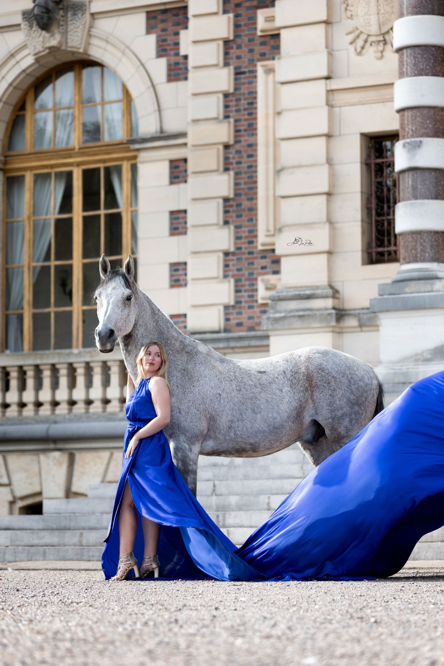 Horse And Castle 2025