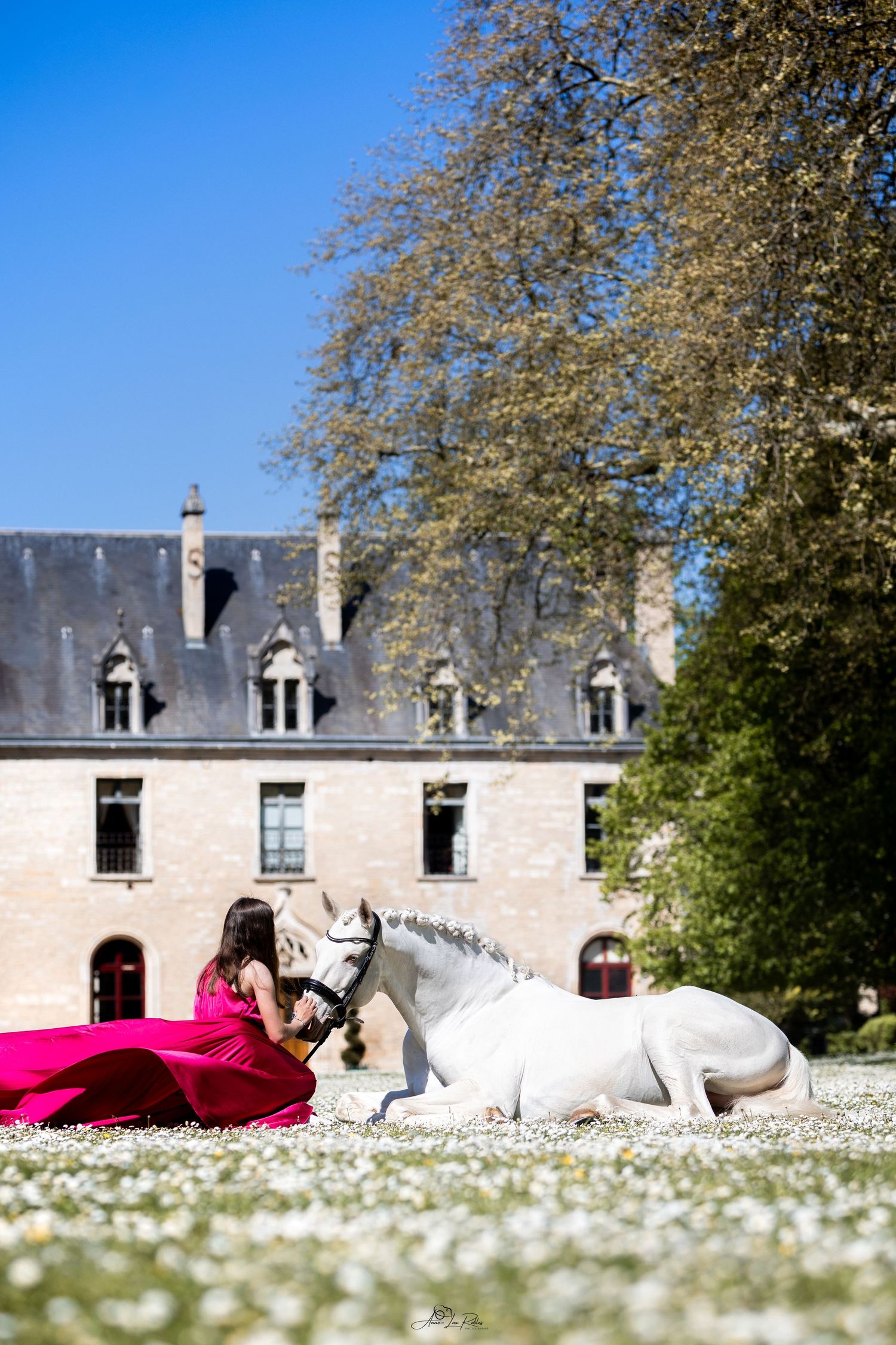 Horse And Castle 2025
