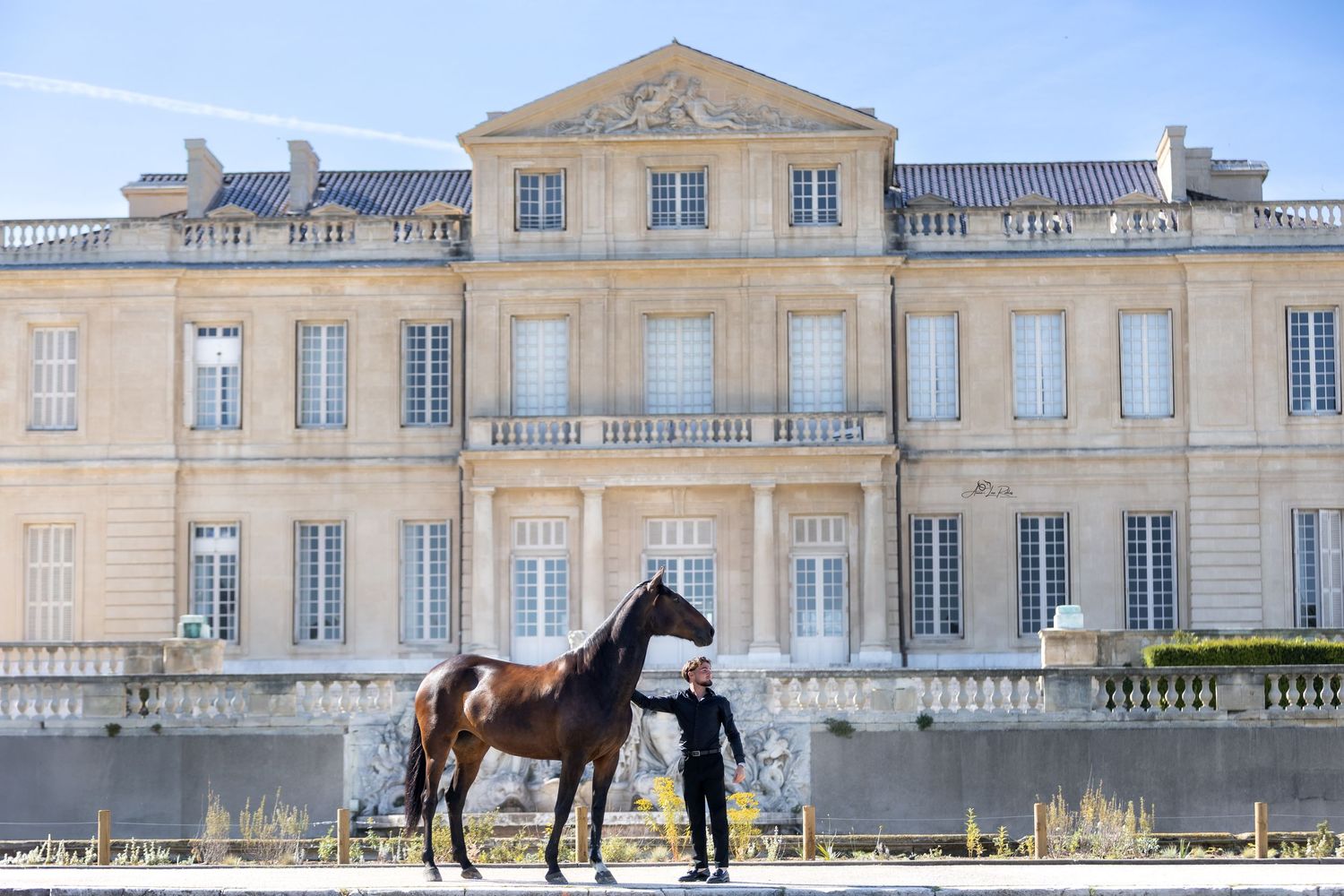 Horse And Castle 2025