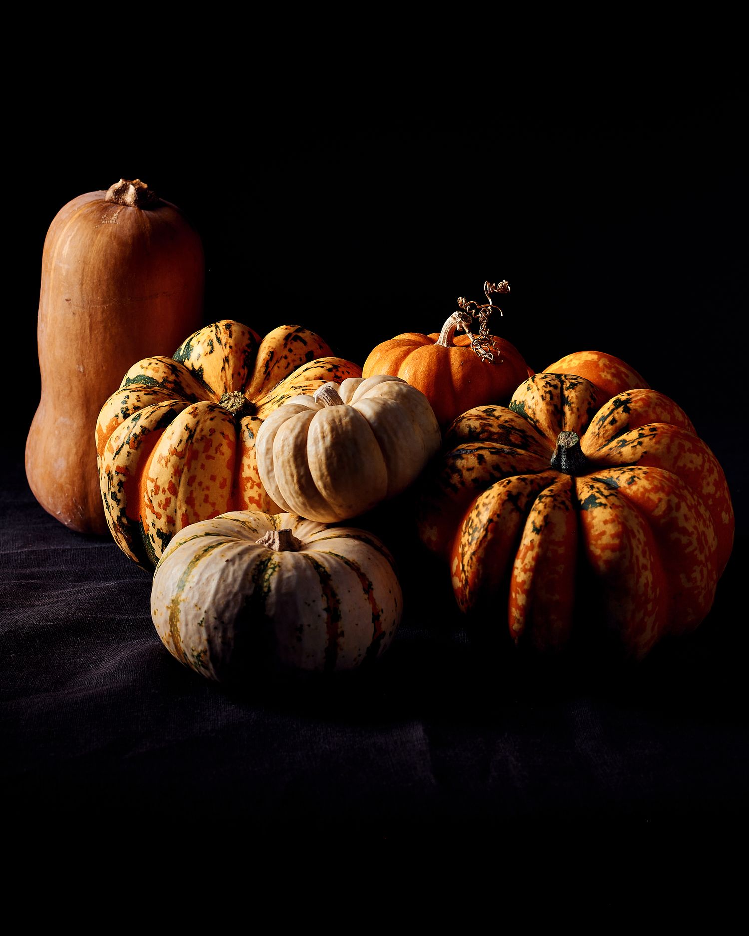 Assorted heirloom pumpkins and squash arranged dramatically against dark background.