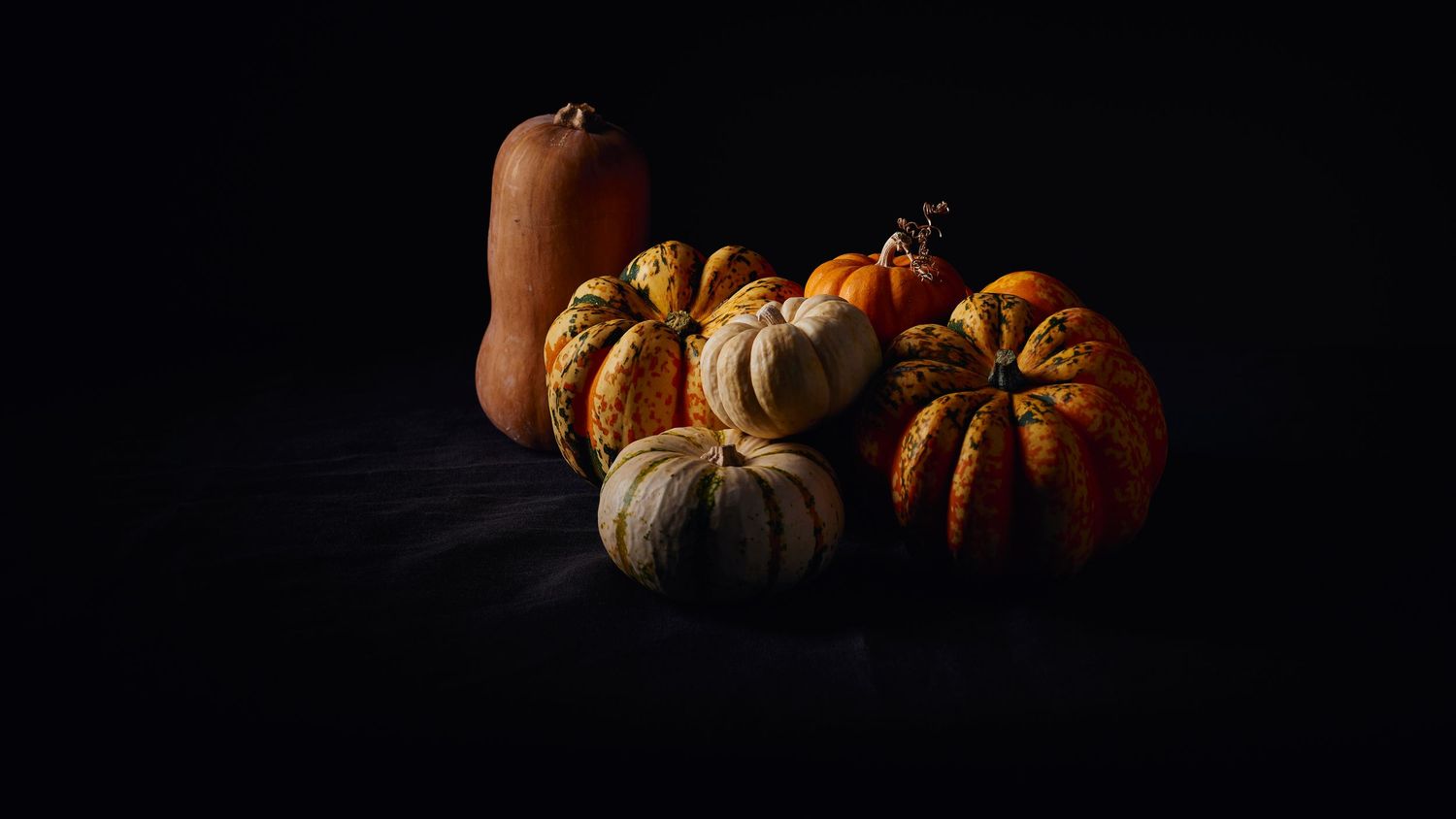 Several orange and white pumpkins arranged on dark background in moody low-key lighting.