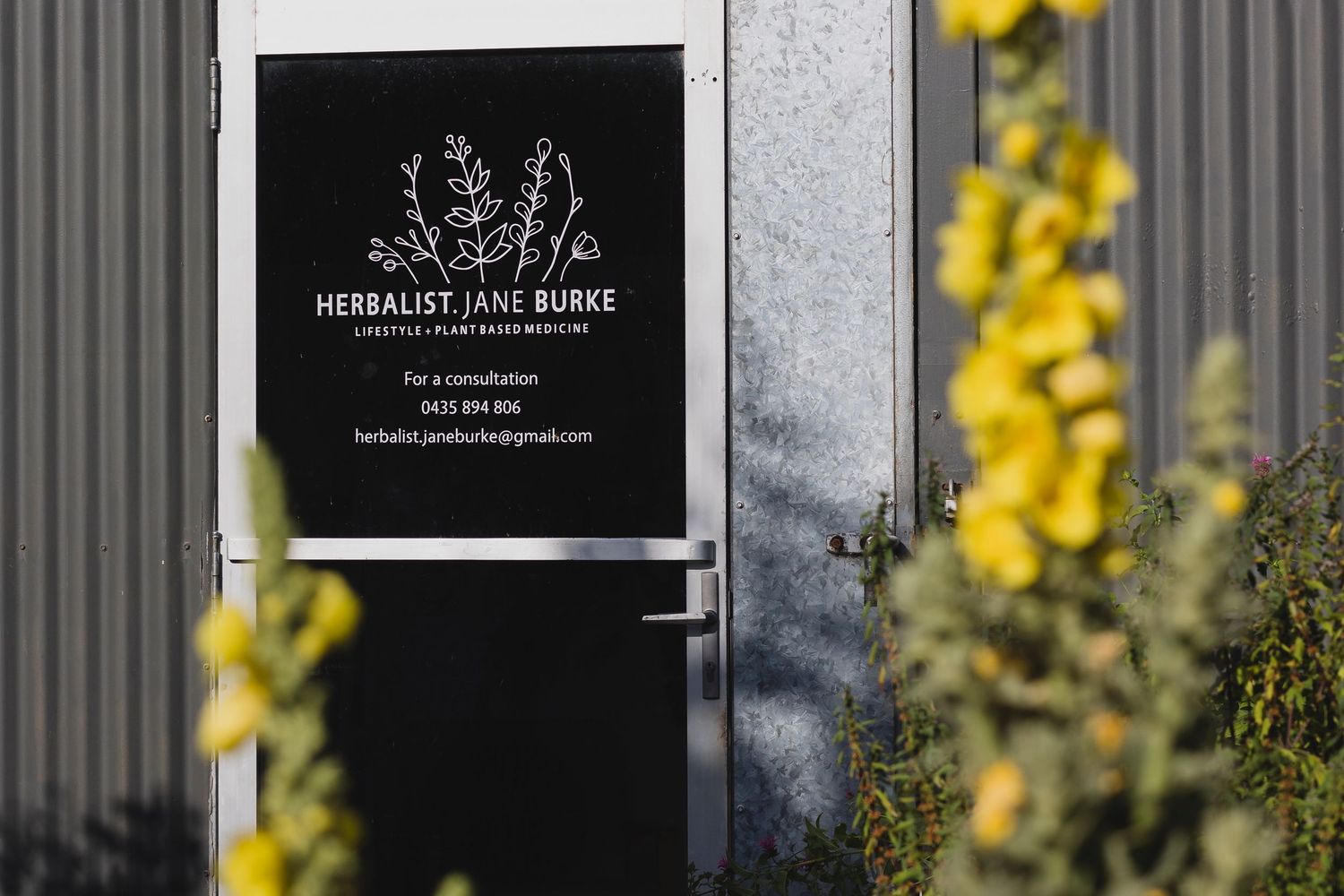 Door to Modern Herbalist Co