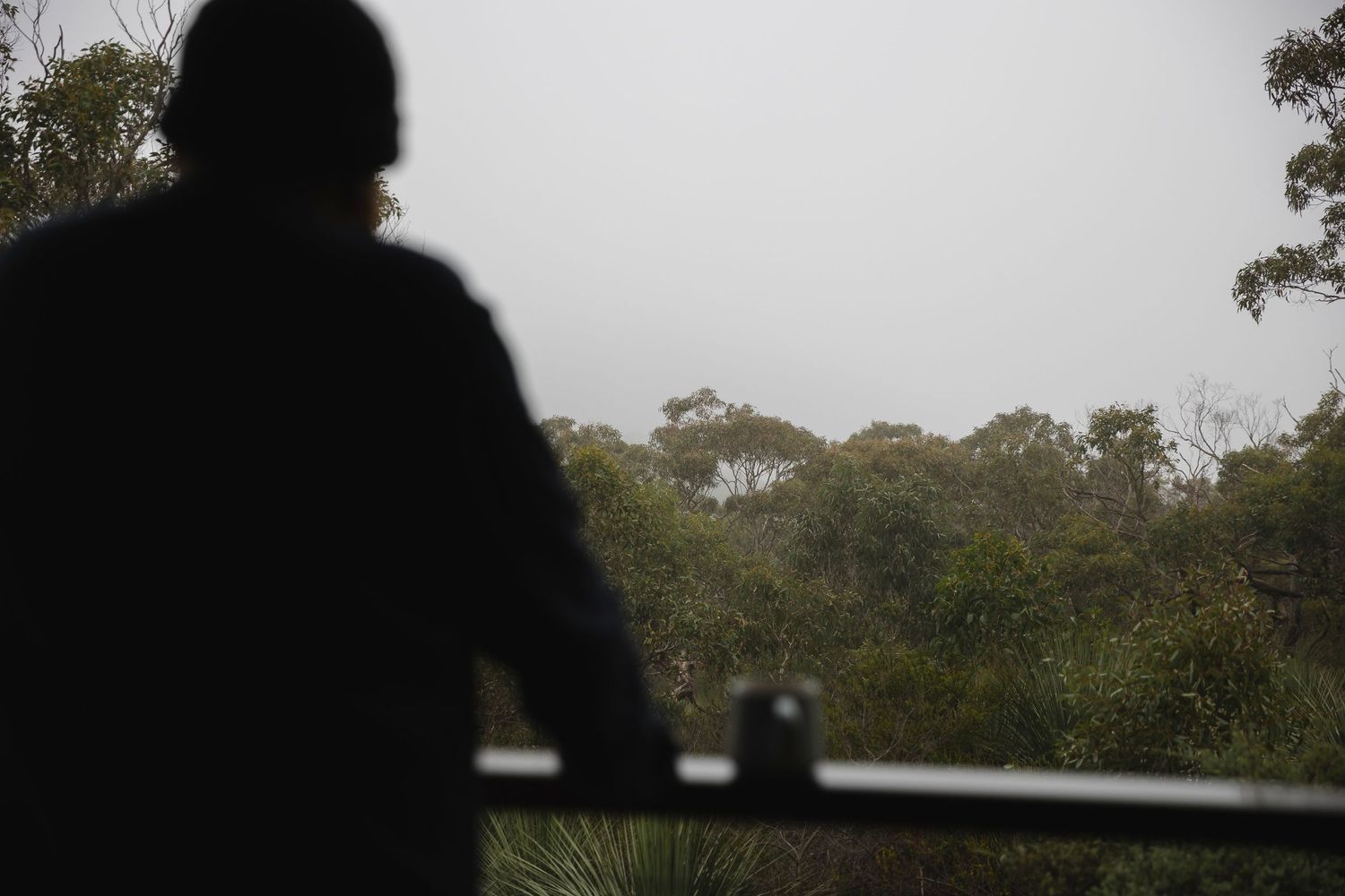 Man looking out at view from Grass tree gully airbnb accomodation near Deep Creek, Fleurieu Peninsula South Australia