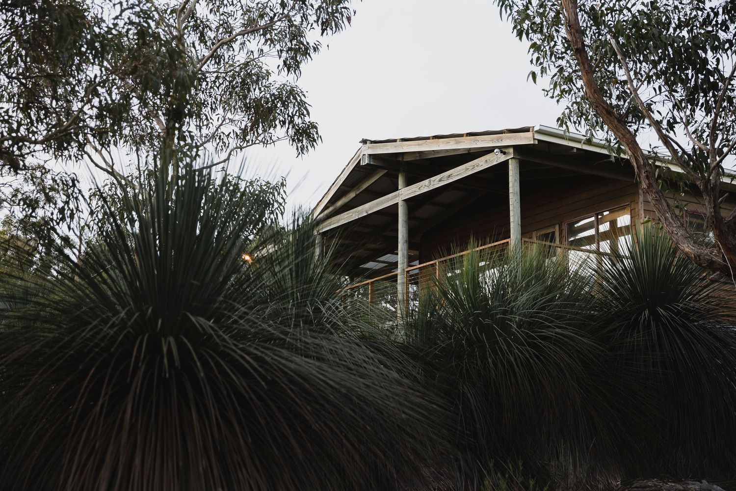 Grass Tree Gully Airbnb