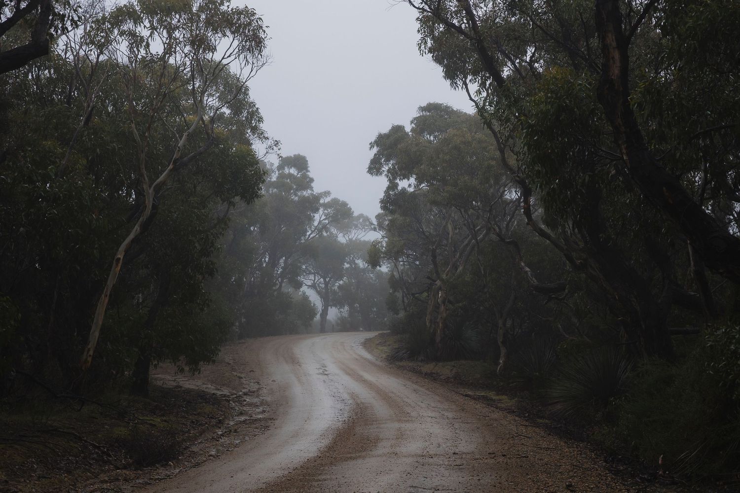 Road heading to Deep Creek Conservation Park, Fleurieu Peninsula