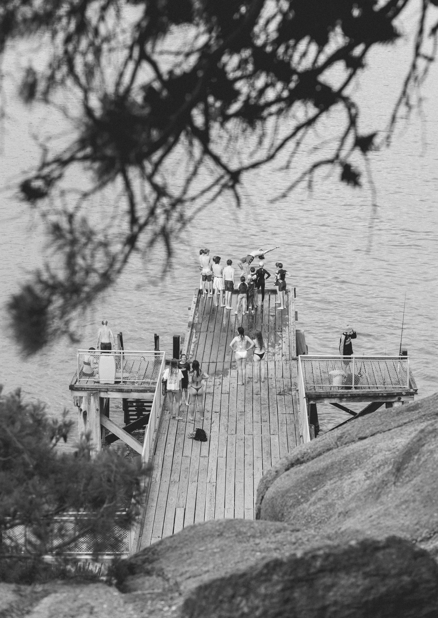 Black and white view through trees of the jetty at Horseshoe Bay, Port Elliot, South Australia