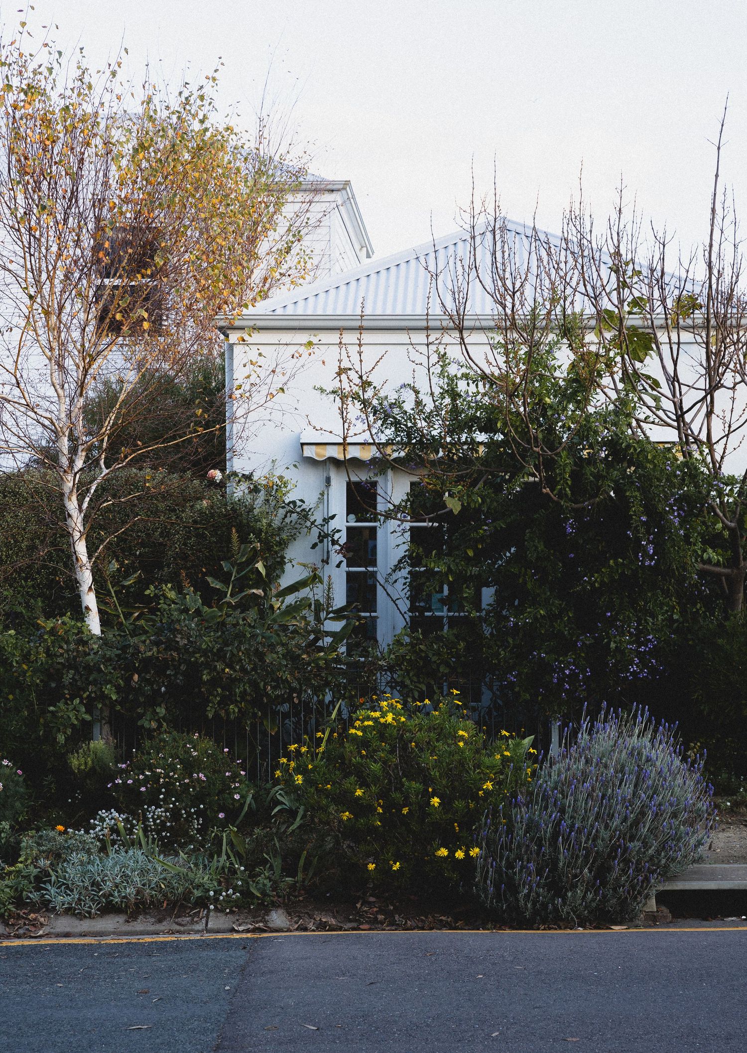 View of garden and white cottage at Port Elliot, Fleurieu Peninsula, South Australia