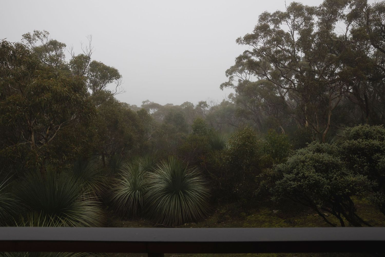 View from porch at Grass tree gully airbnb accomodation near Deep Creek, Fleurieu Peninsula South Australia