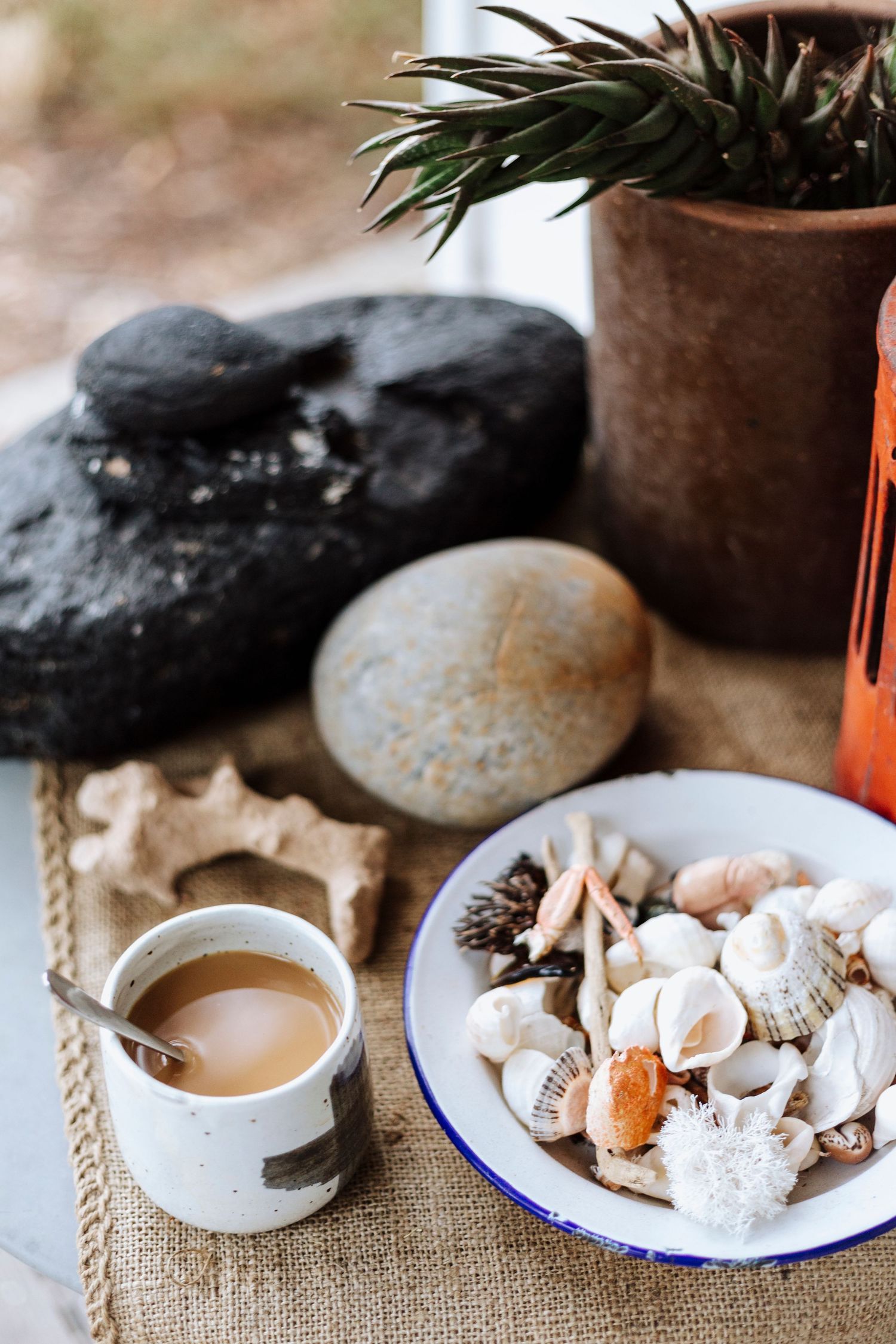 Close up of coffee and shells at Airbnb