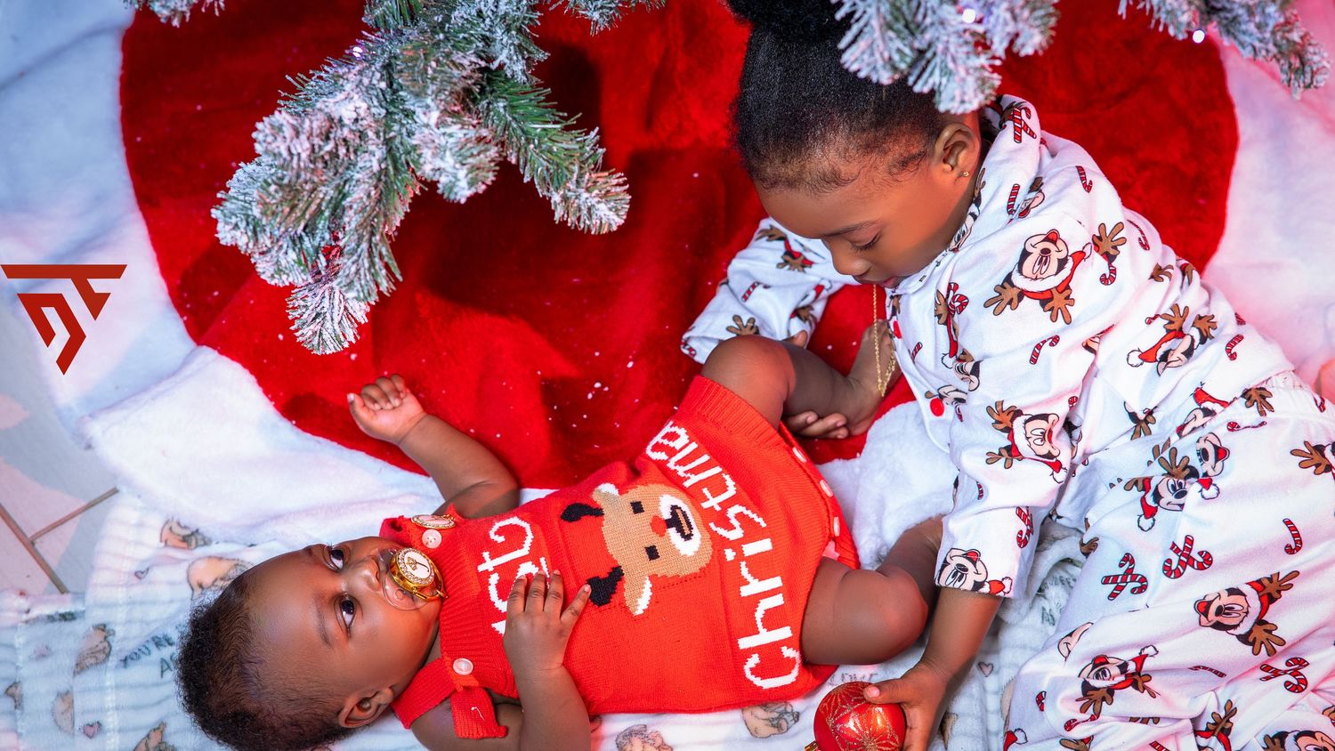 Christmas photo session with red and white decorations under a frosted tree.