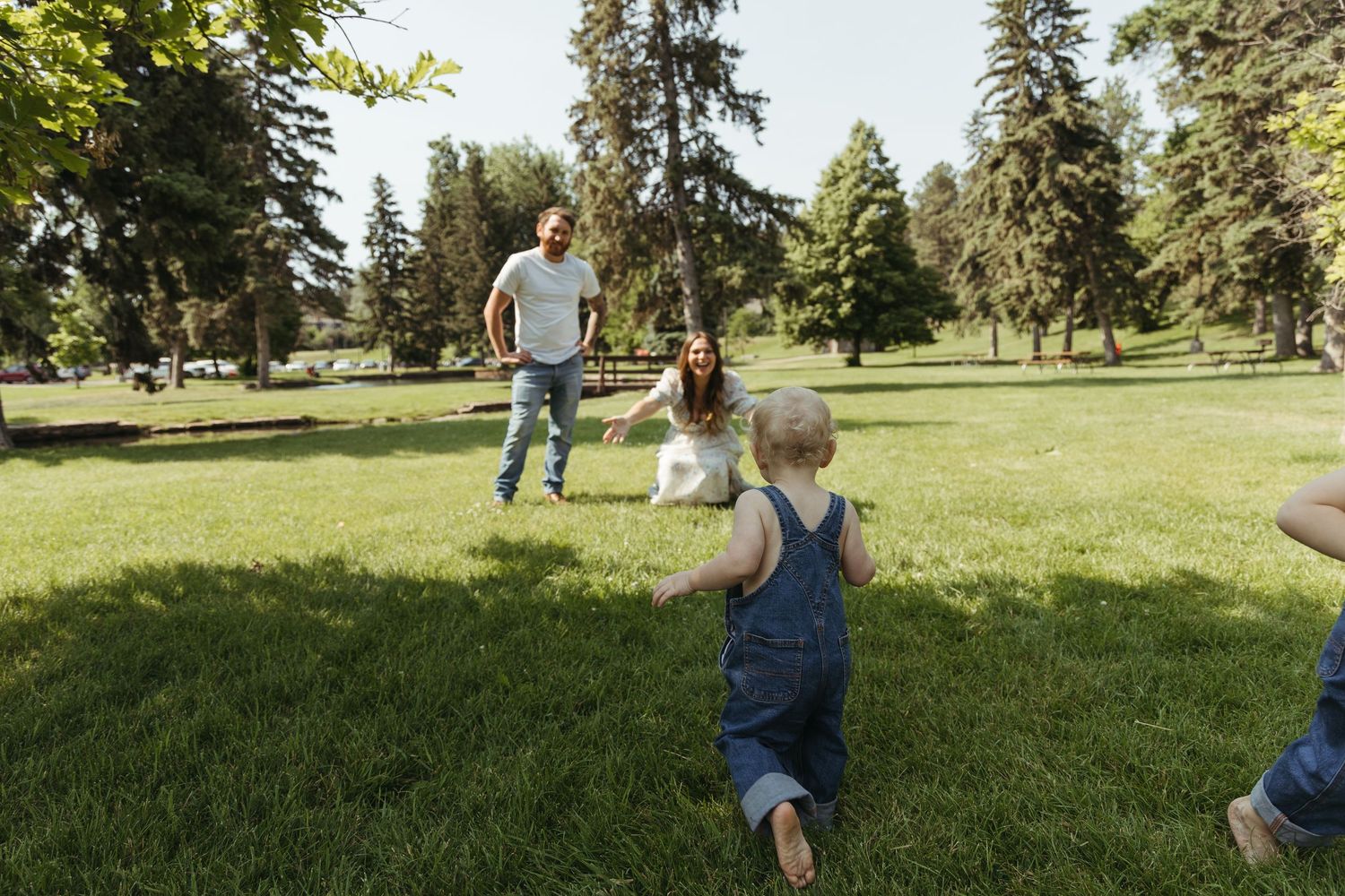 Candid family moments captured in a sunny park with tall pine trees.