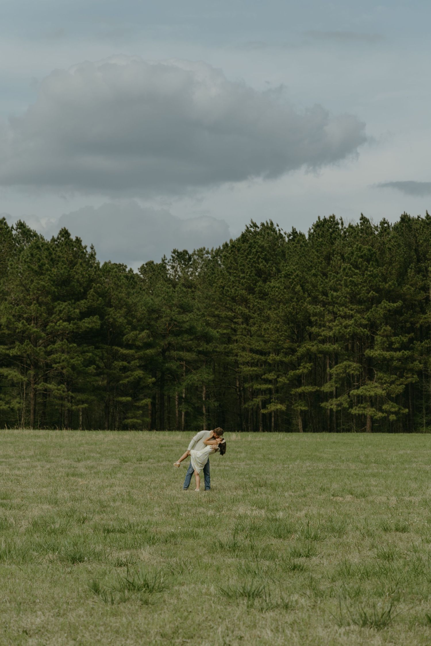 A serene landscape with pine trees and open field under cloudy skies.