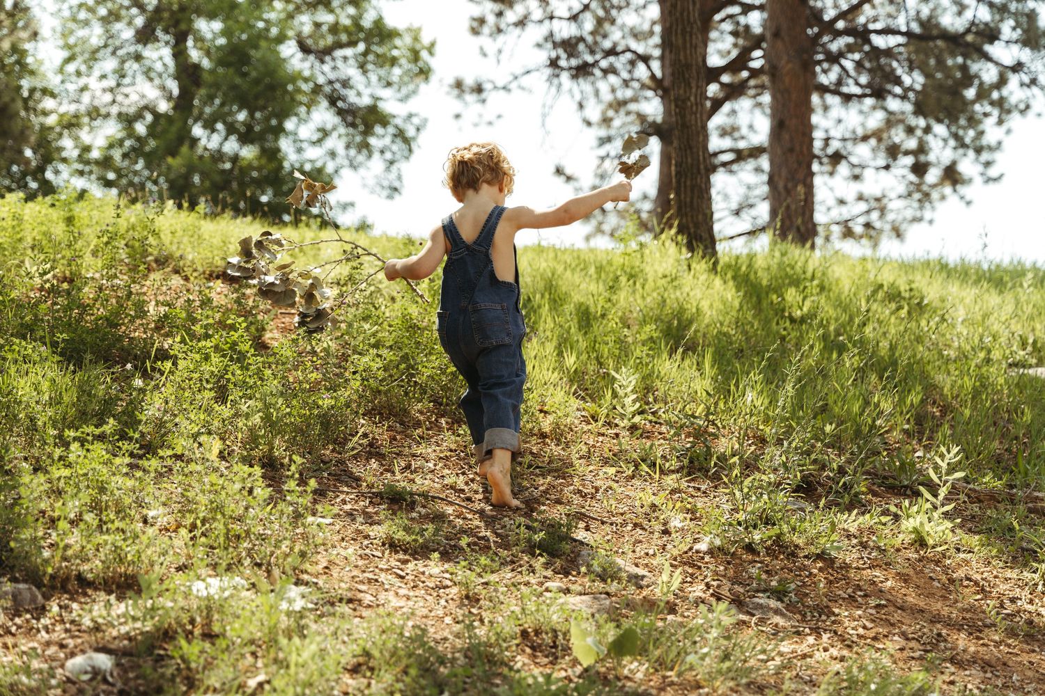 Children playing and running on a grassy hill with trees in the background.